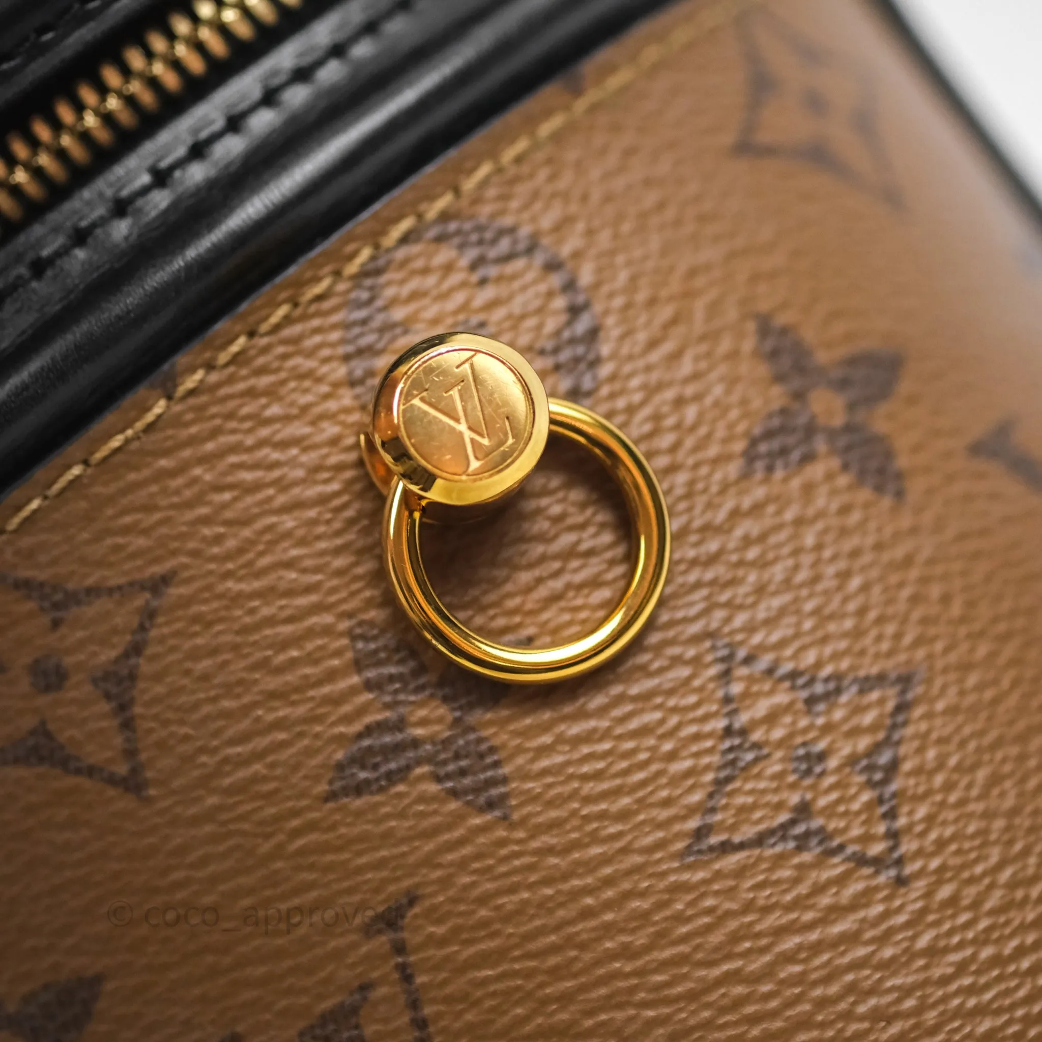 Louis Vuitton Monogram Canvas Reverse Cannes Bag
