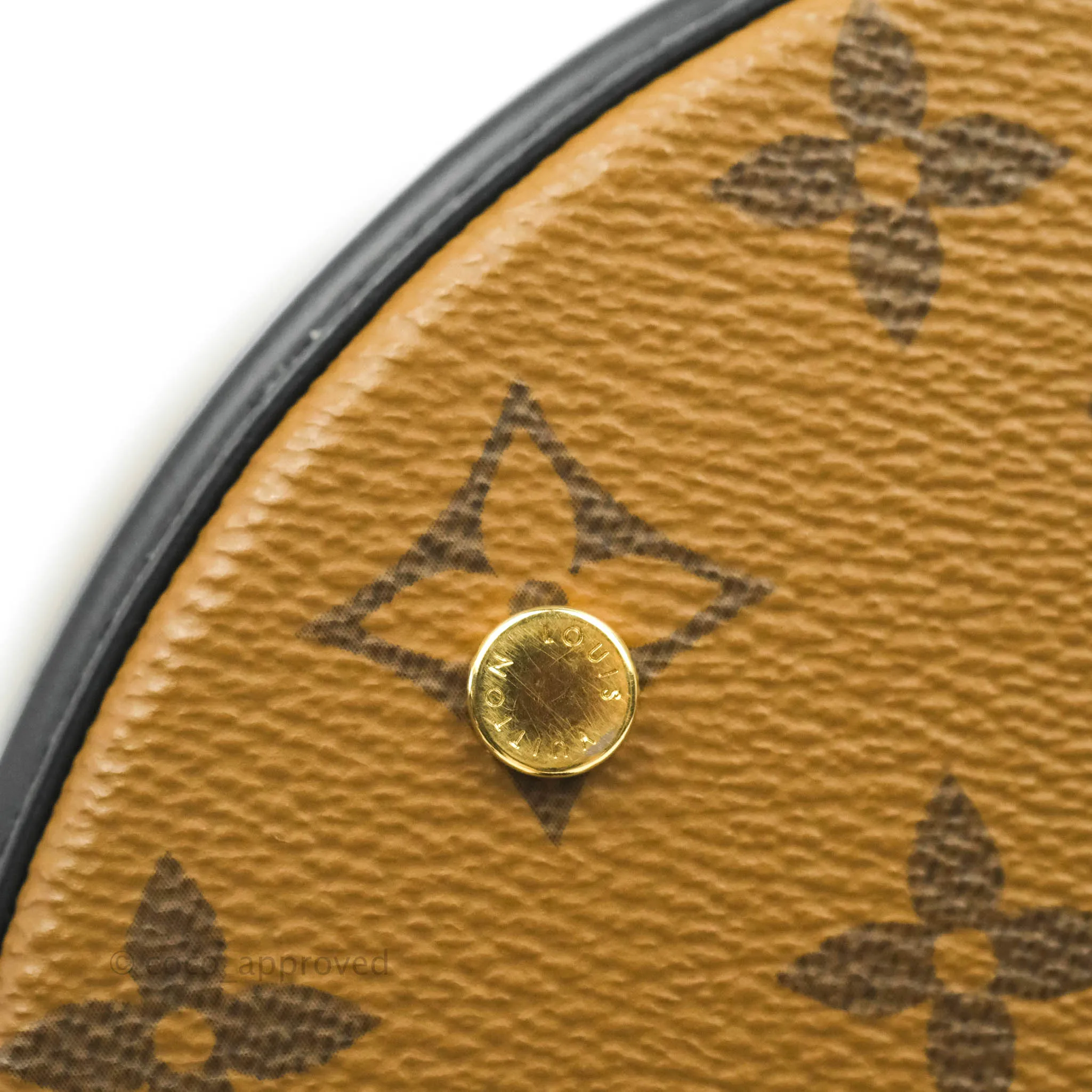 Louis Vuitton Monogram Canvas Reverse Cannes Bag