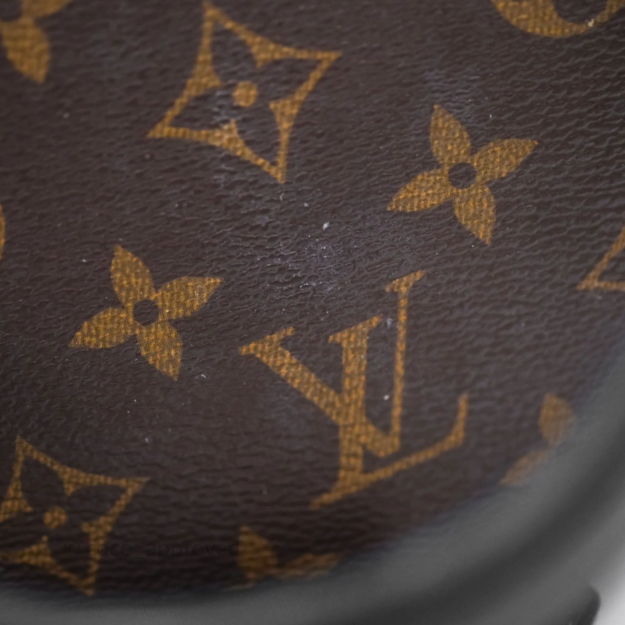 Louis Vuitton Monogram Canvas Reverse Cannes Bag