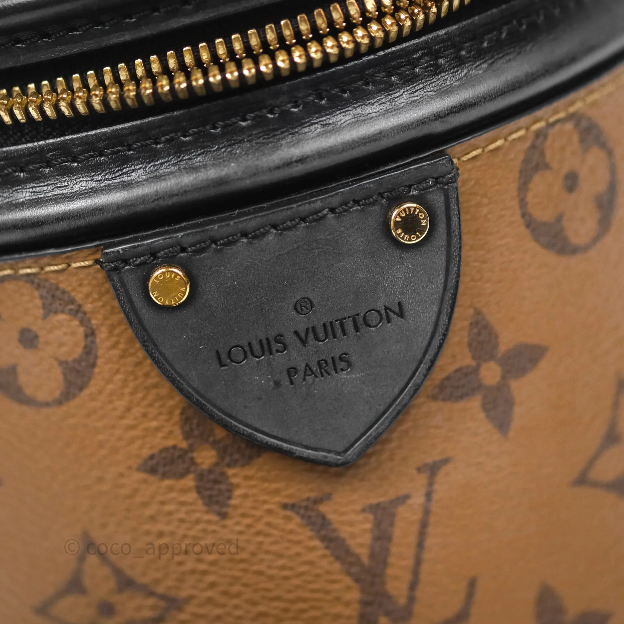 Louis Vuitton Monogram Canvas Reverse Cannes Bag