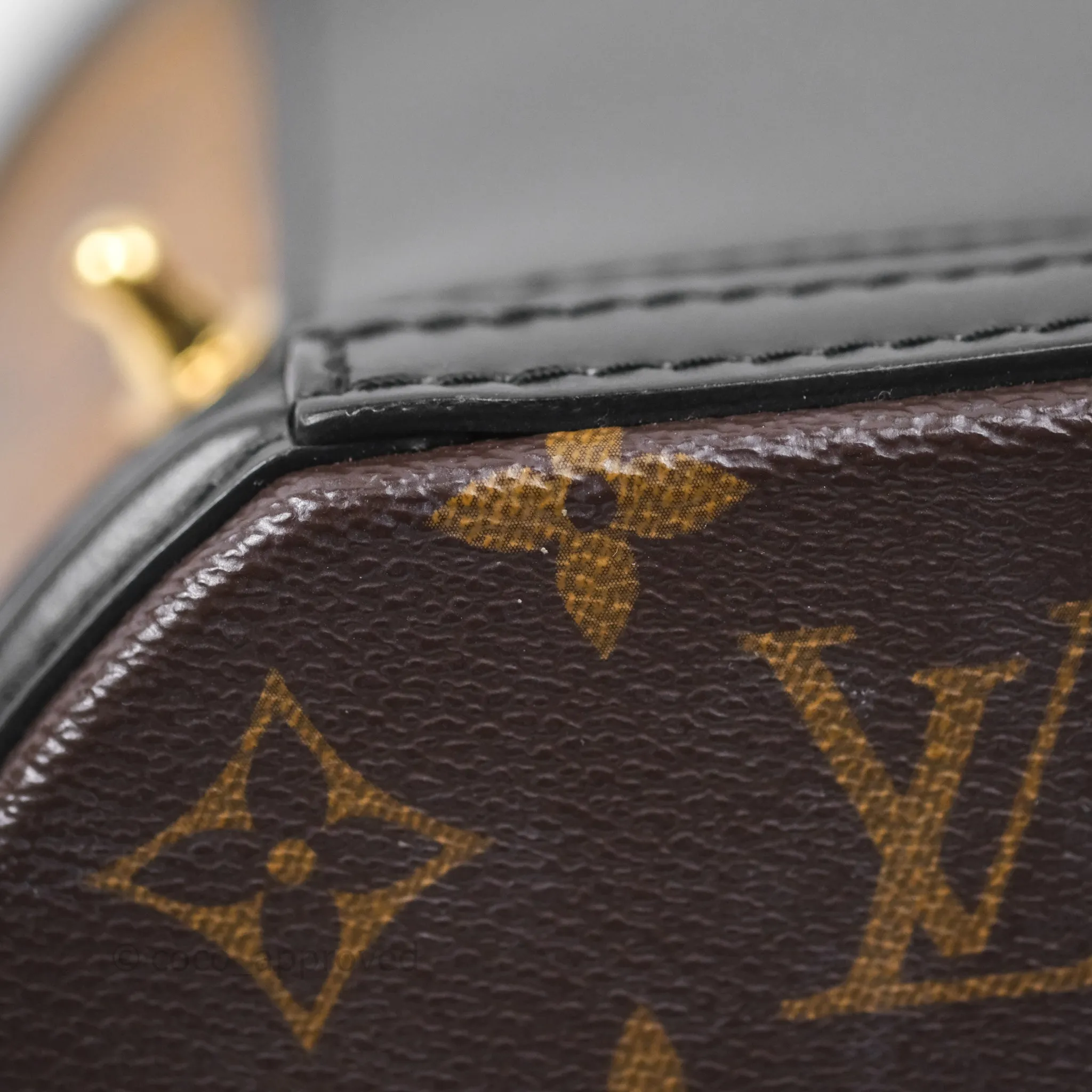 Louis Vuitton Monogram Canvas Reverse Cannes Bag