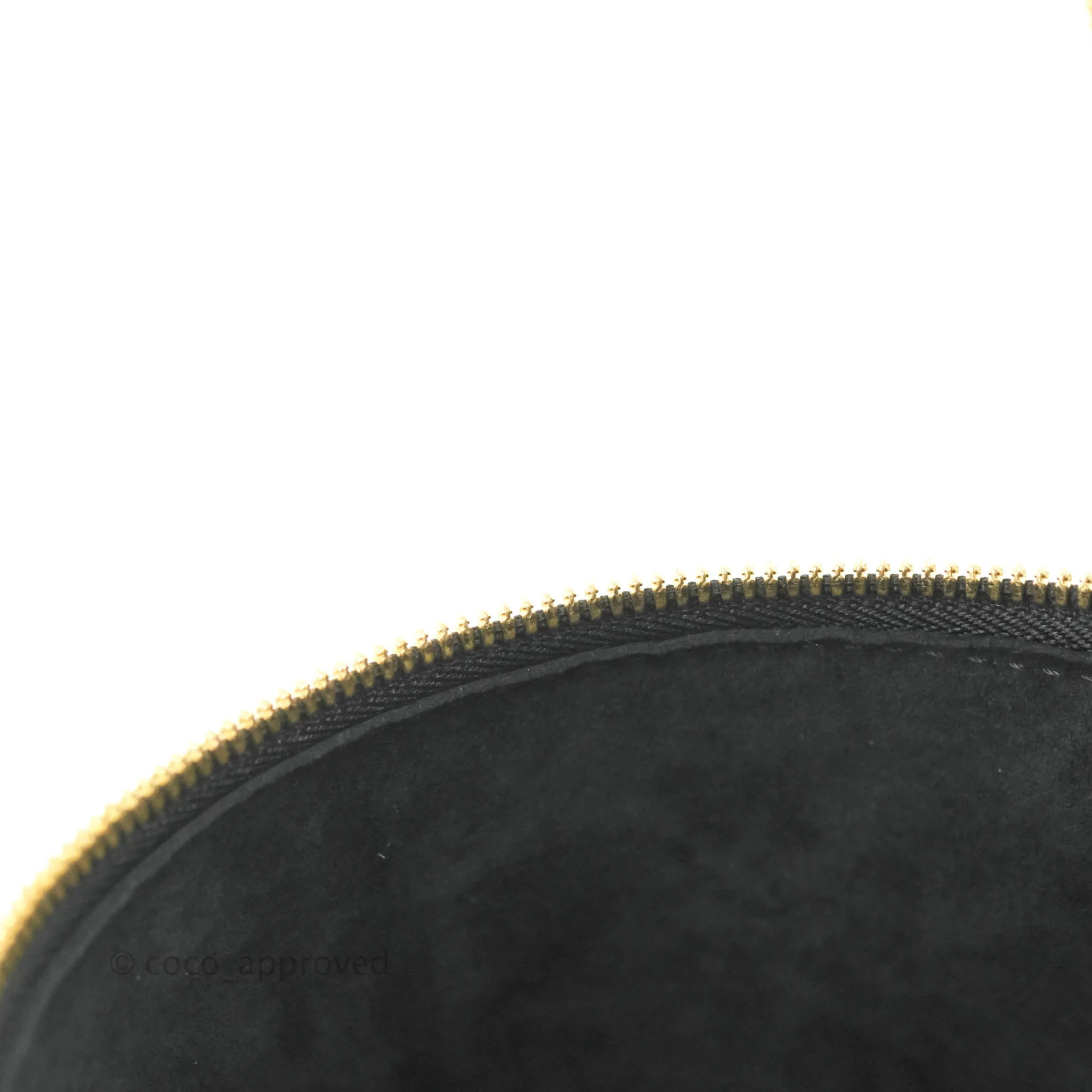Louis Vuitton Monogram Canvas Reverse Cannes Bag