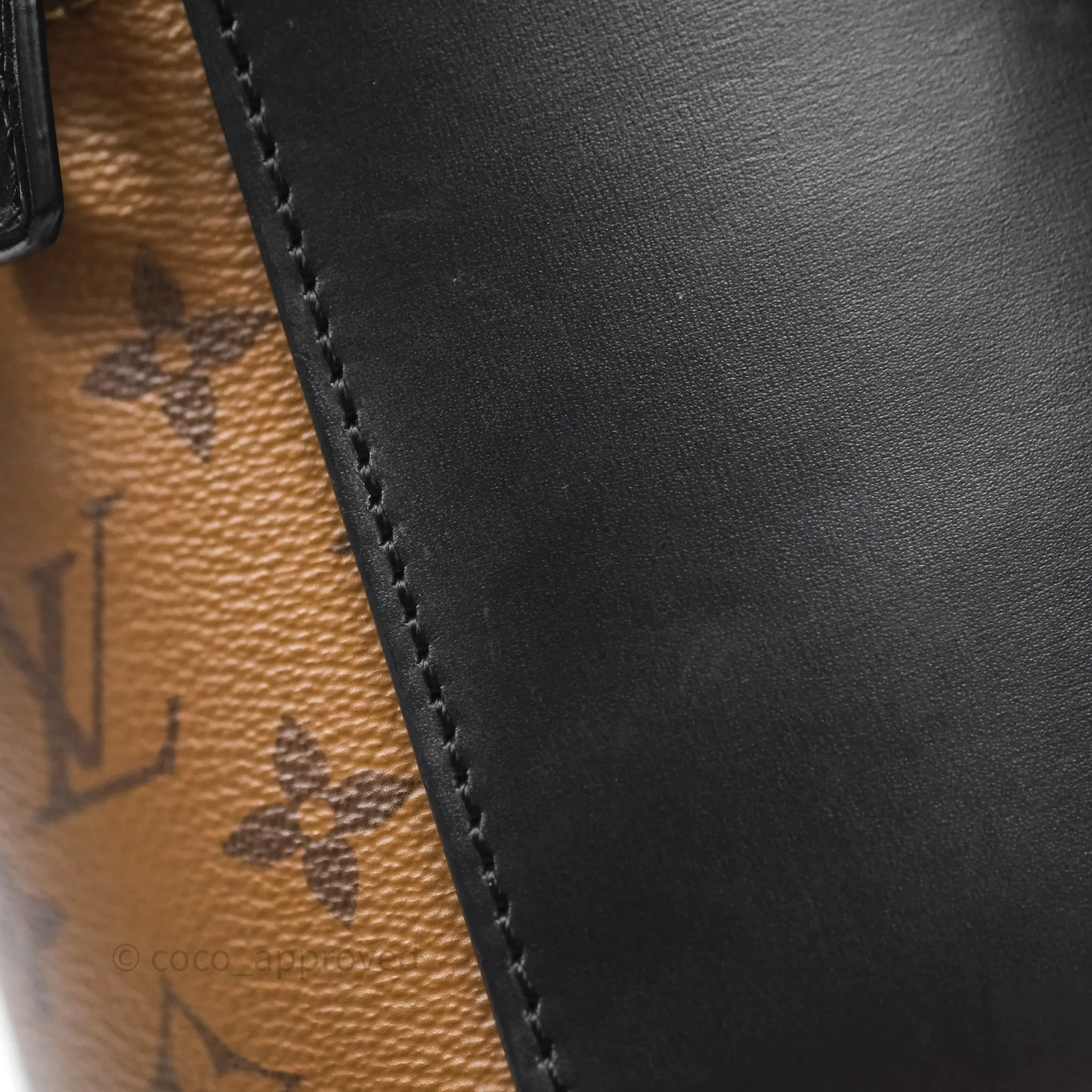 Louis Vuitton Monogram Canvas Reverse Cannes Bag