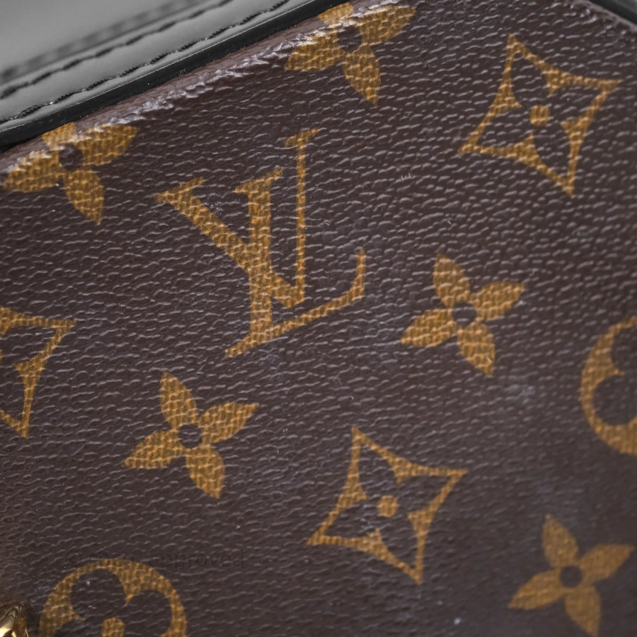 Louis Vuitton Monogram Canvas Reverse Cannes Bag