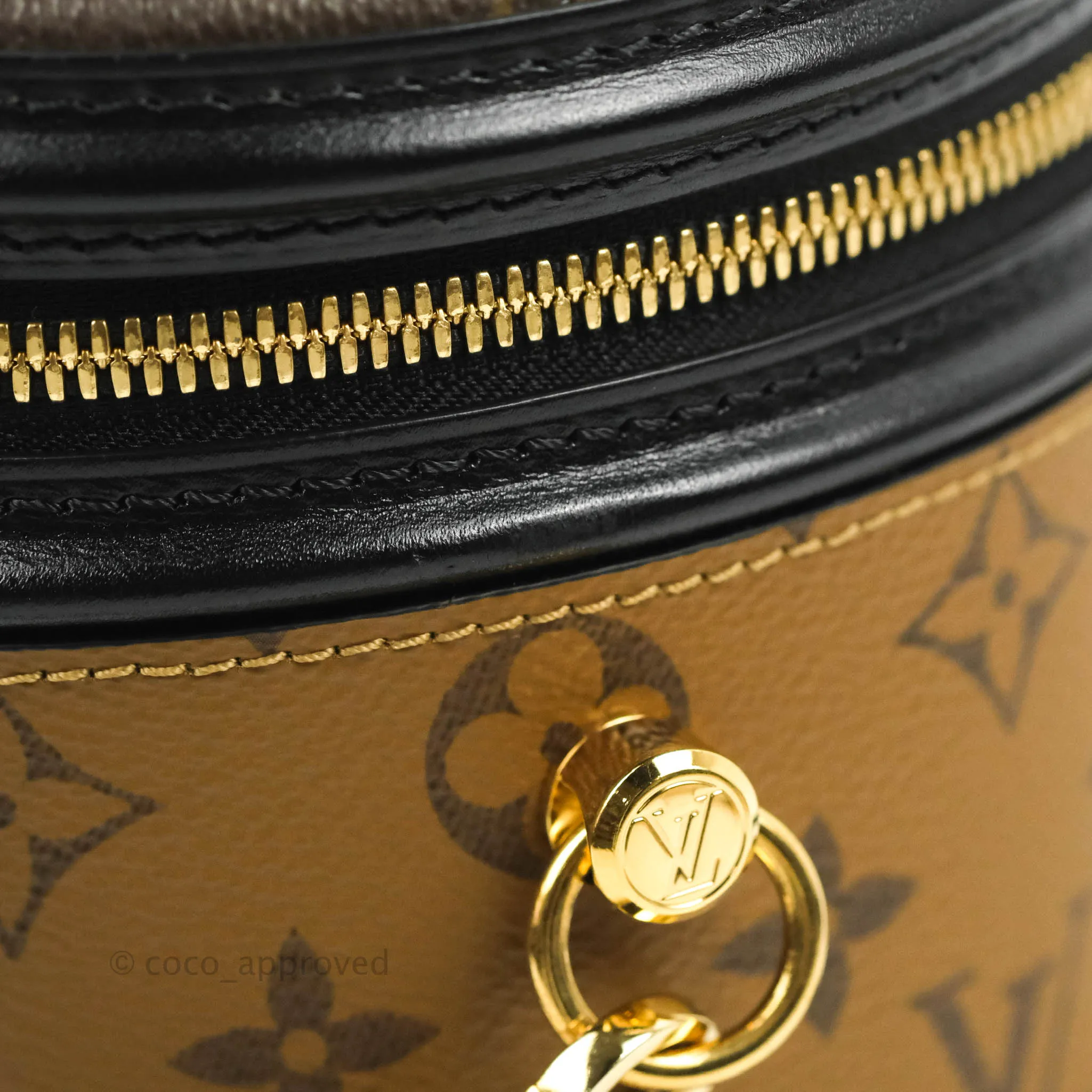 Louis Vuitton Monogram Canvas Reverse Cannes Bag