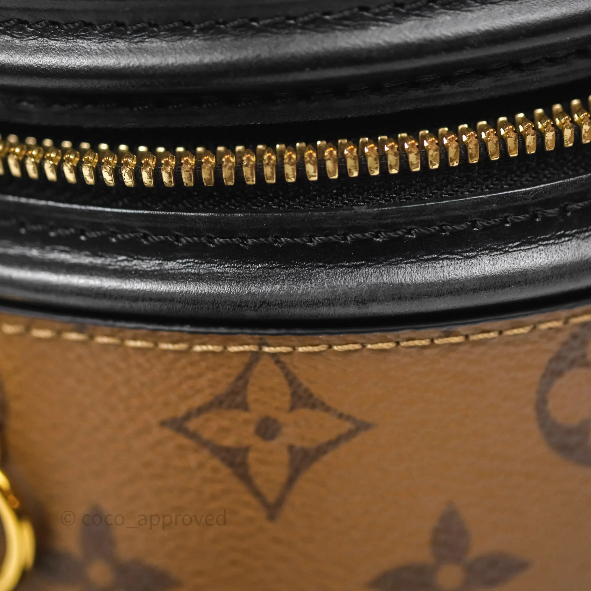 Louis Vuitton Monogram Canvas Reverse Cannes Bag