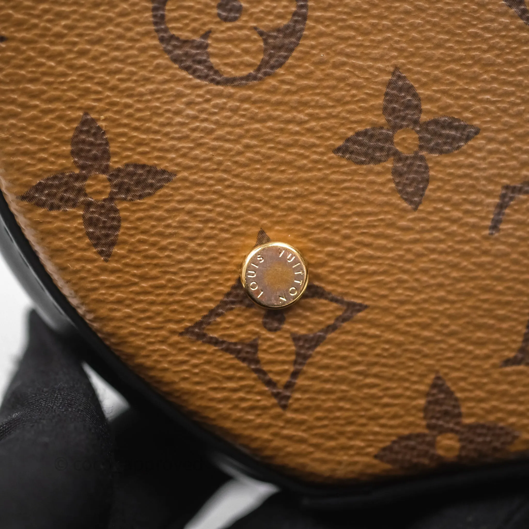 Louis Vuitton Monogram Canvas Reverse Cannes Bag