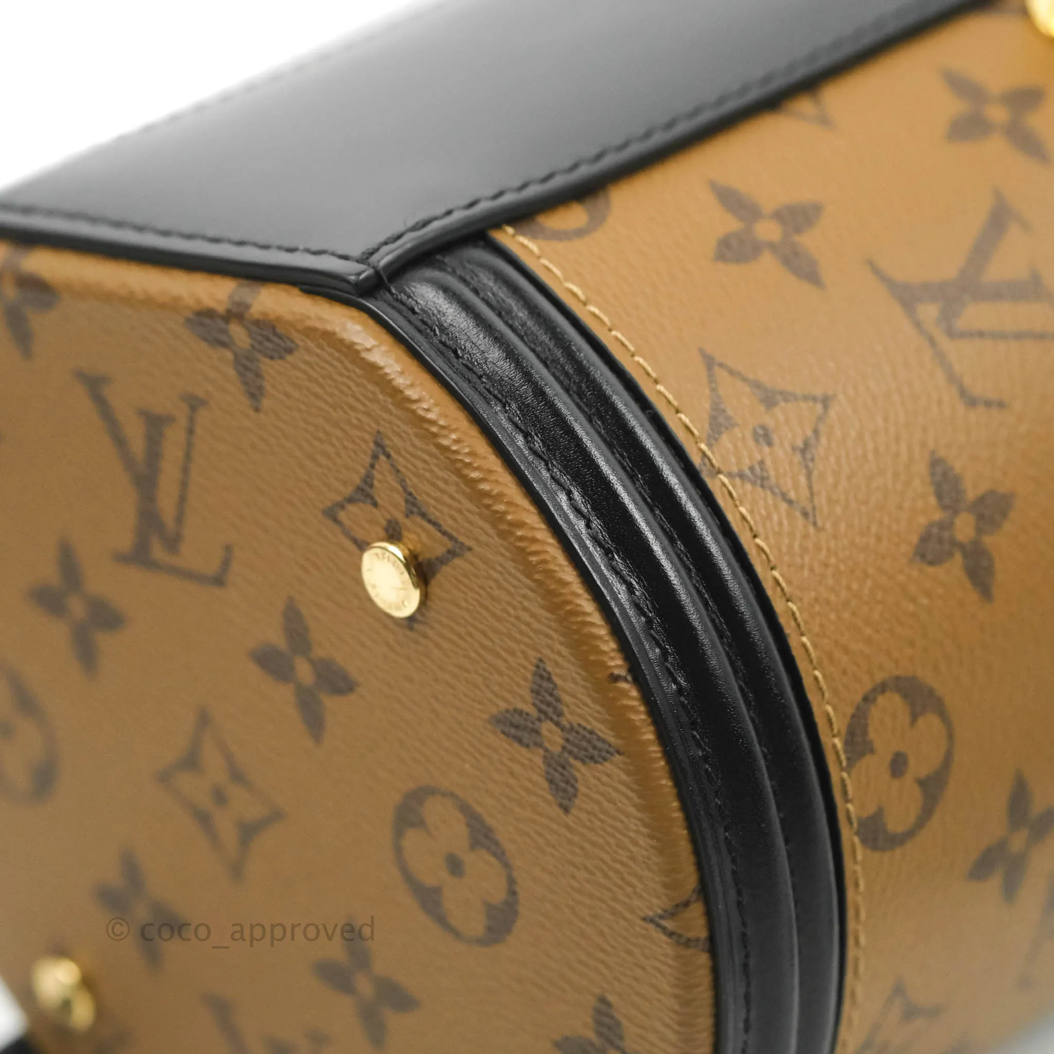 Louis Vuitton Monogram Canvas Reverse Cannes Bag