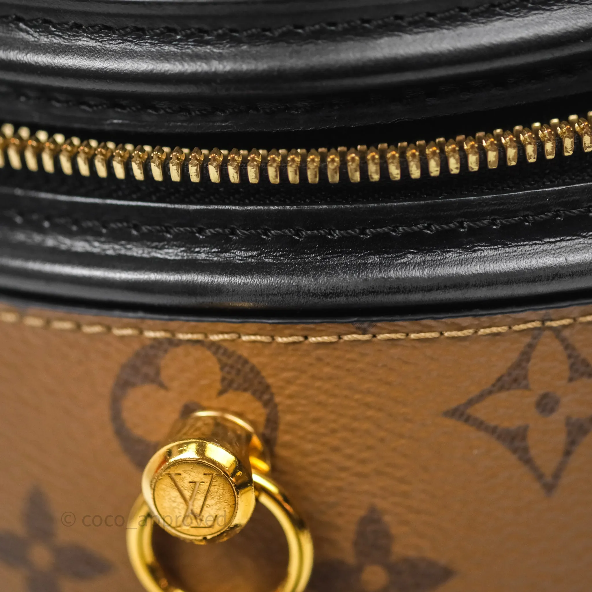 Louis Vuitton Monogram Canvas Reverse Cannes Bag