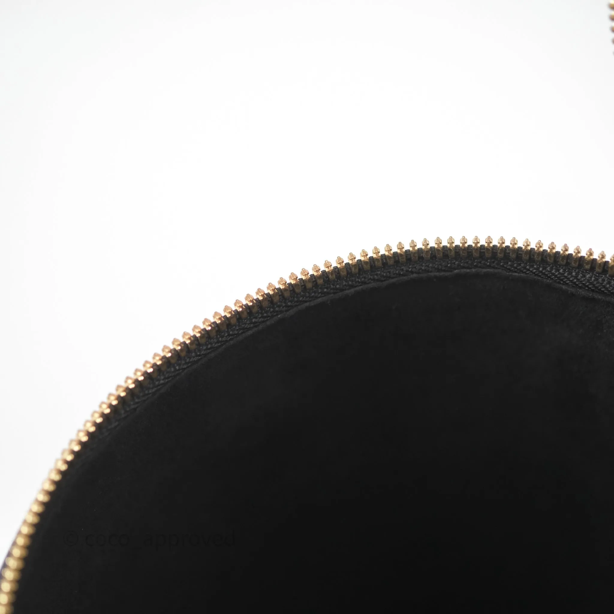 Louis Vuitton Monogram Canvas Reverse Cannes Bag