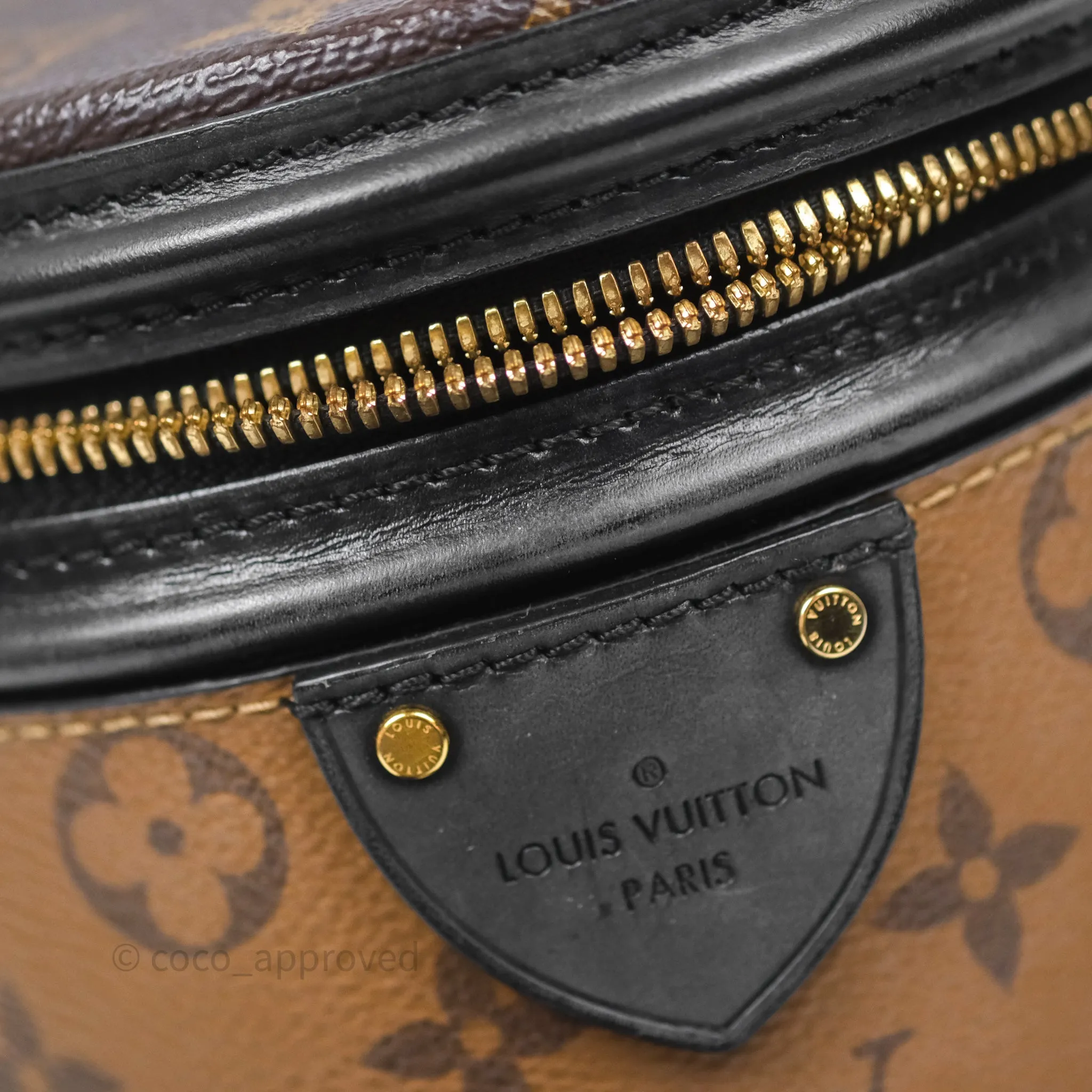 Louis Vuitton Monogram Canvas Reverse Cannes Bag