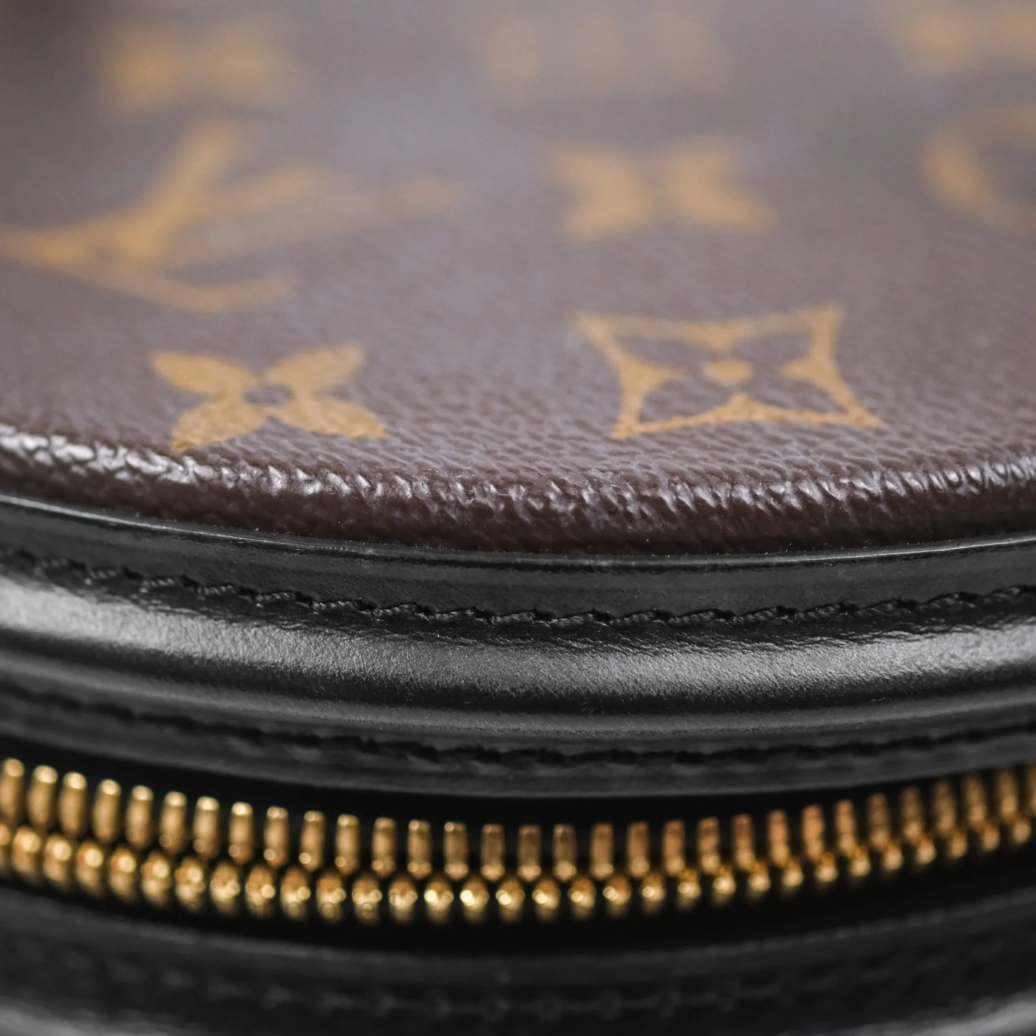 Louis Vuitton Monogram Canvas Reverse Cannes Bag