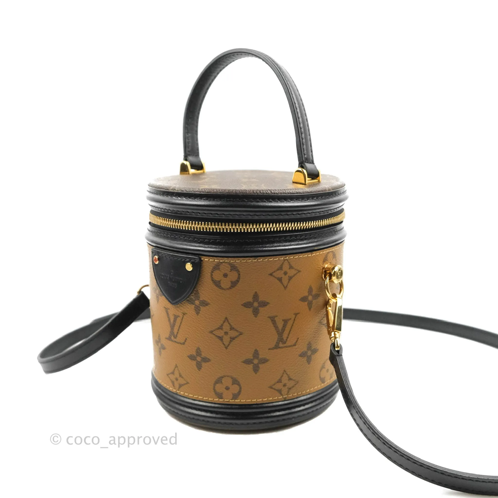 Louis Vuitton Monogram Canvas Reverse Cannes Bag