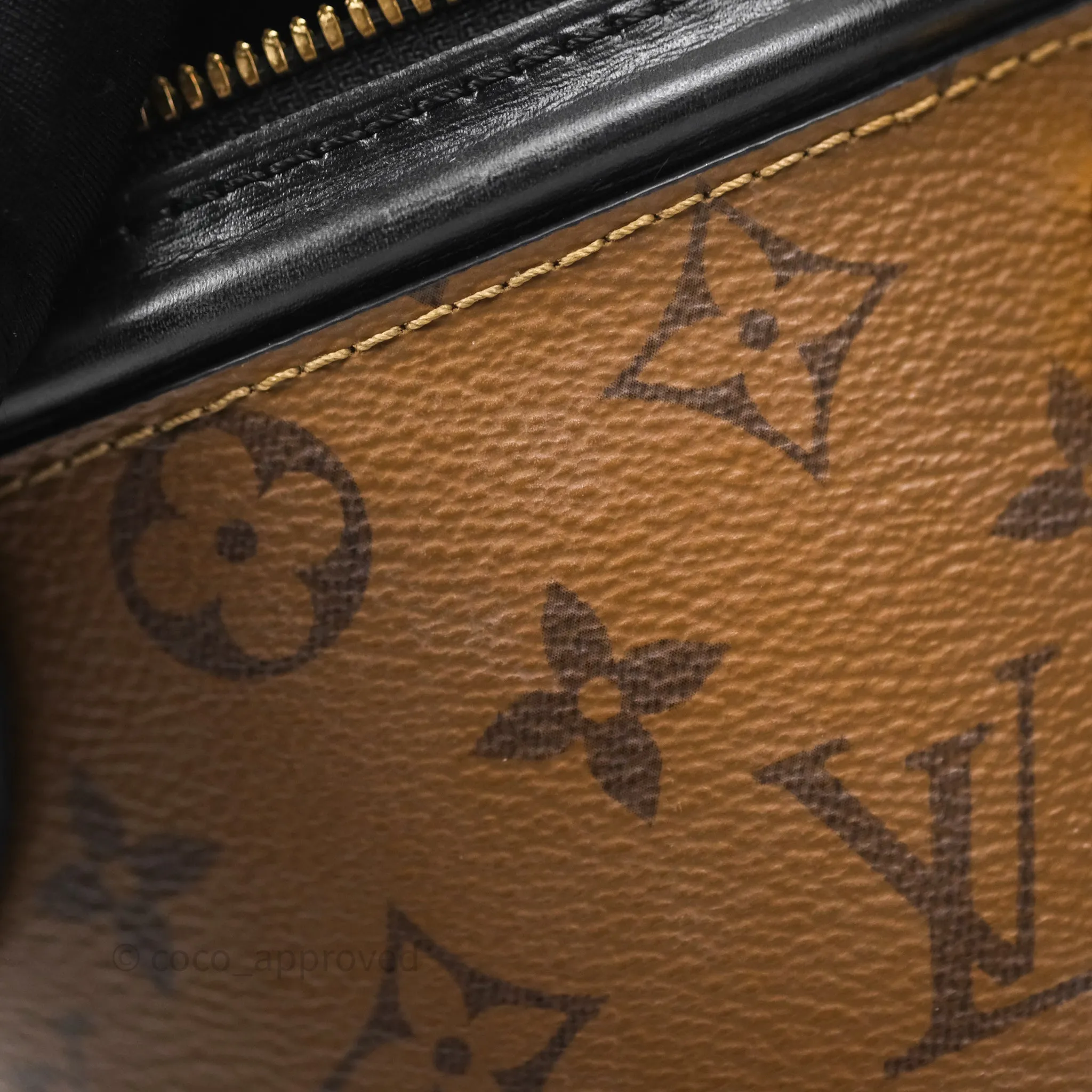 Louis Vuitton Monogram Canvas Reverse Cannes Bag