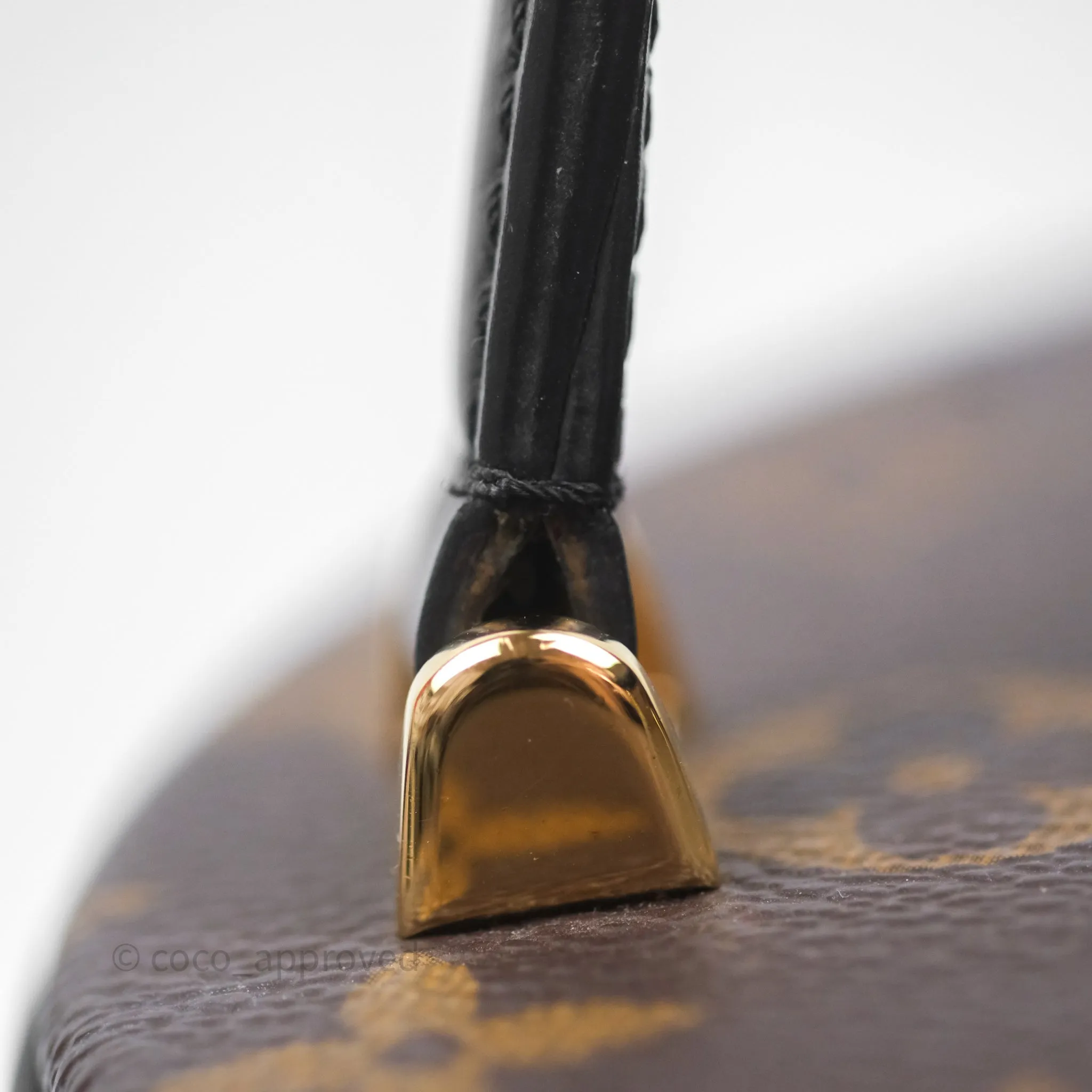 Louis Vuitton Monogram Canvas Reverse Cannes Bag