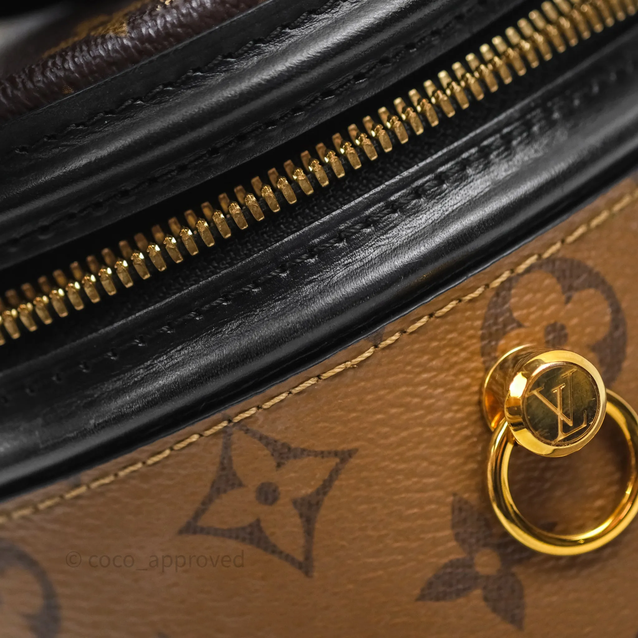 Louis Vuitton Monogram Canvas Reverse Cannes Bag