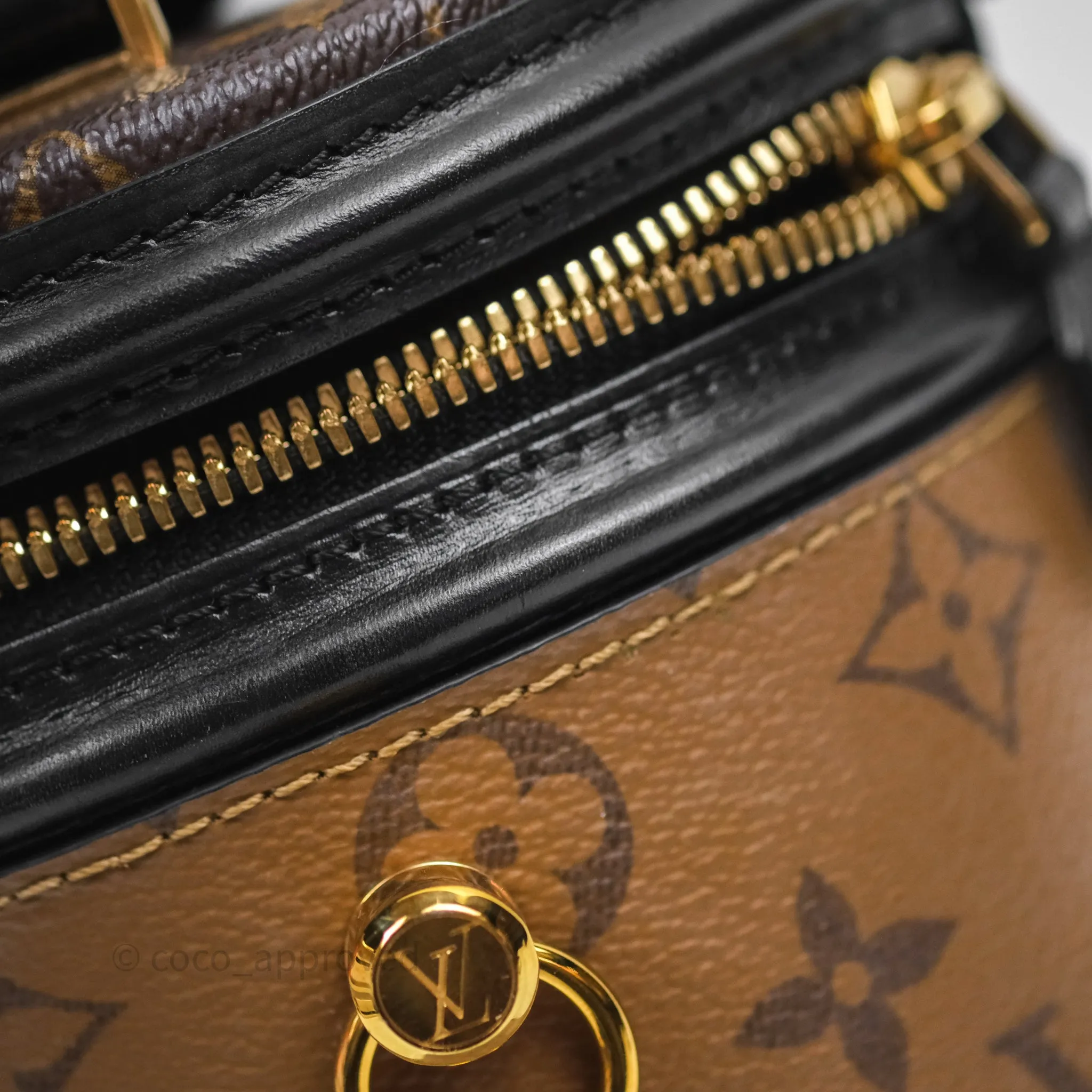 Louis Vuitton Monogram Canvas Reverse Cannes Bag