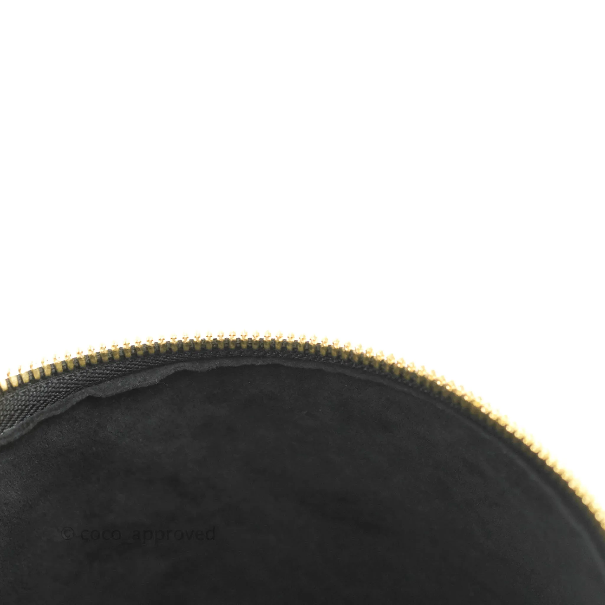 Louis Vuitton Monogram Canvas Reverse Cannes Bag