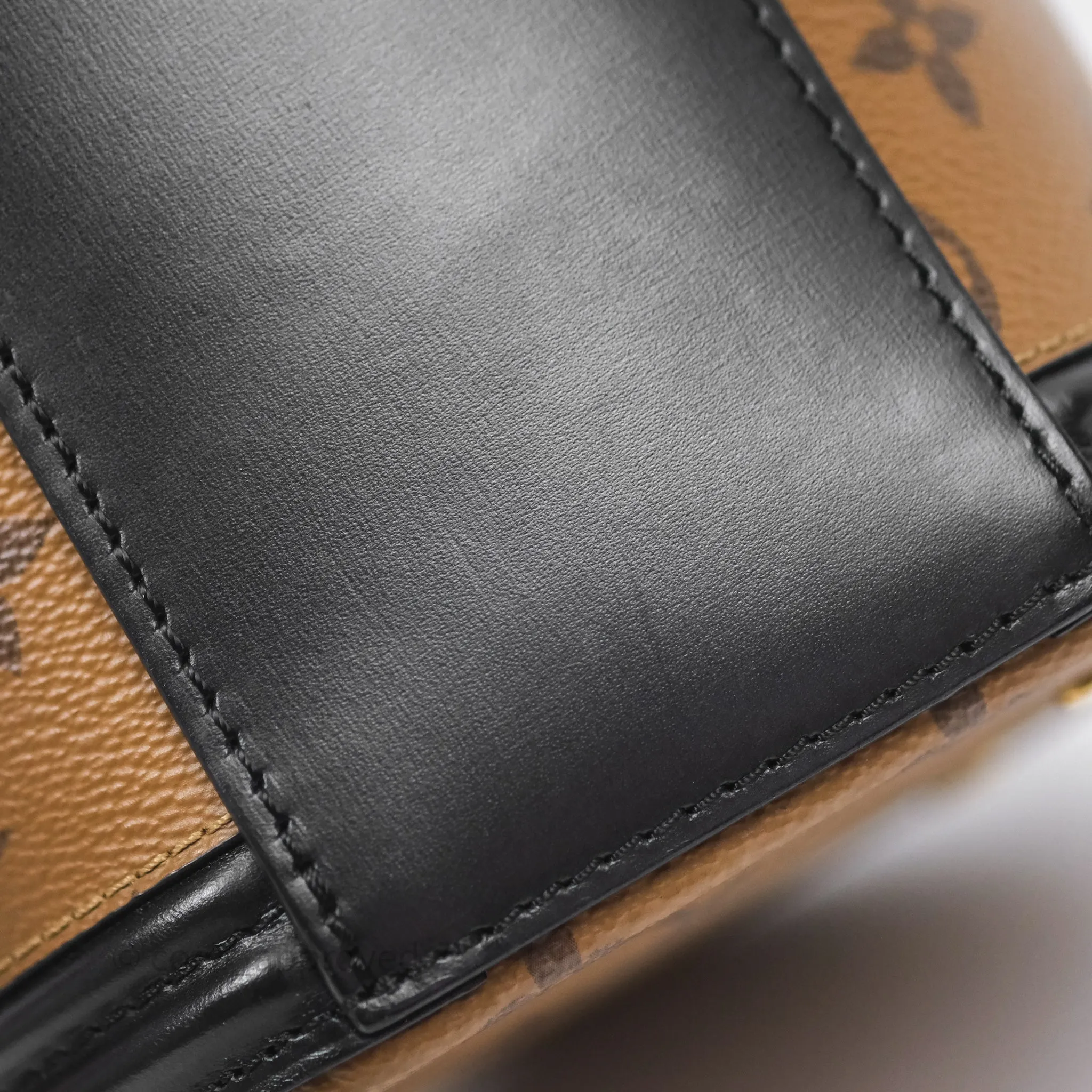 Louis Vuitton Monogram Canvas Reverse Cannes Bag