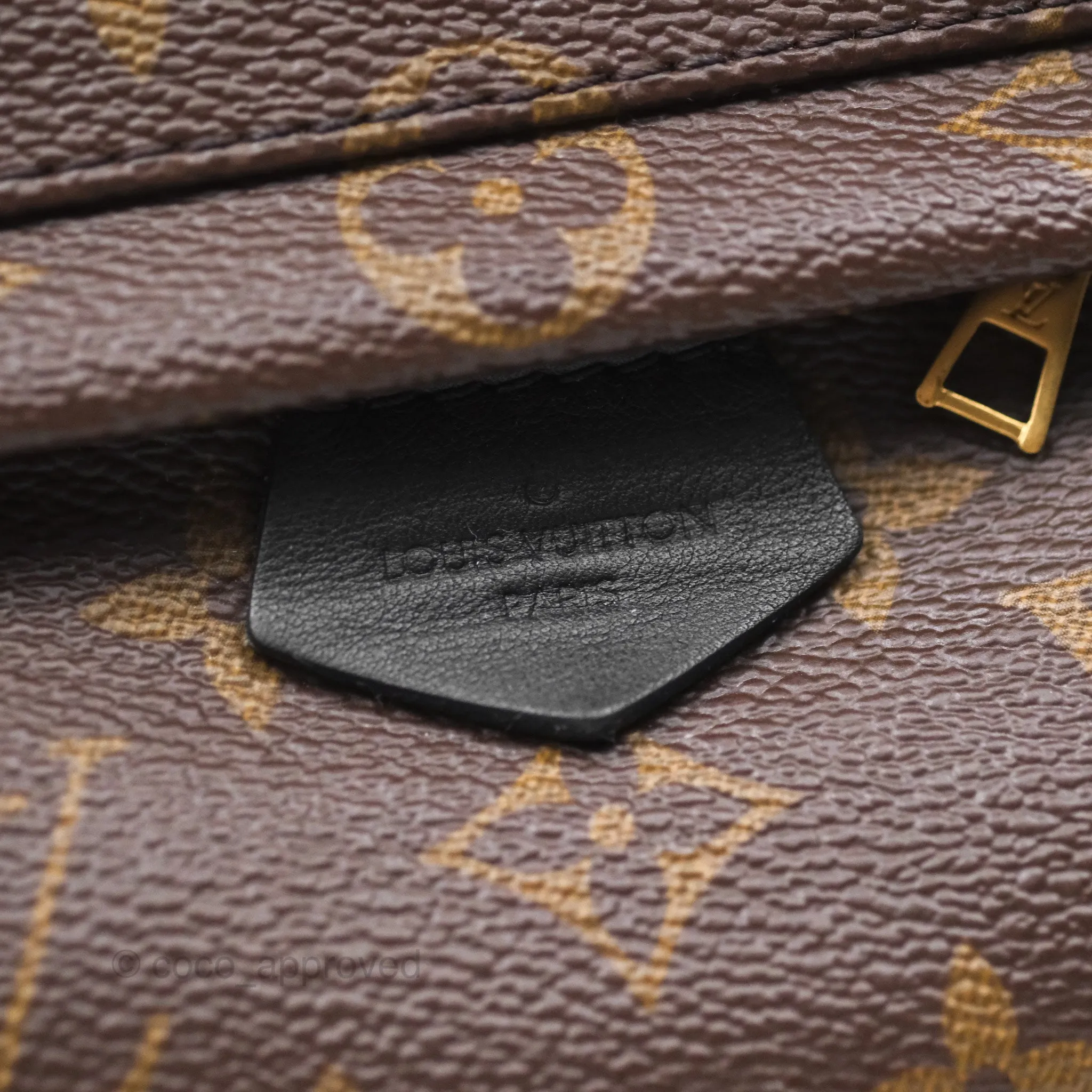 Louis Vuitton Monogram Mini Palm Springs Backpack