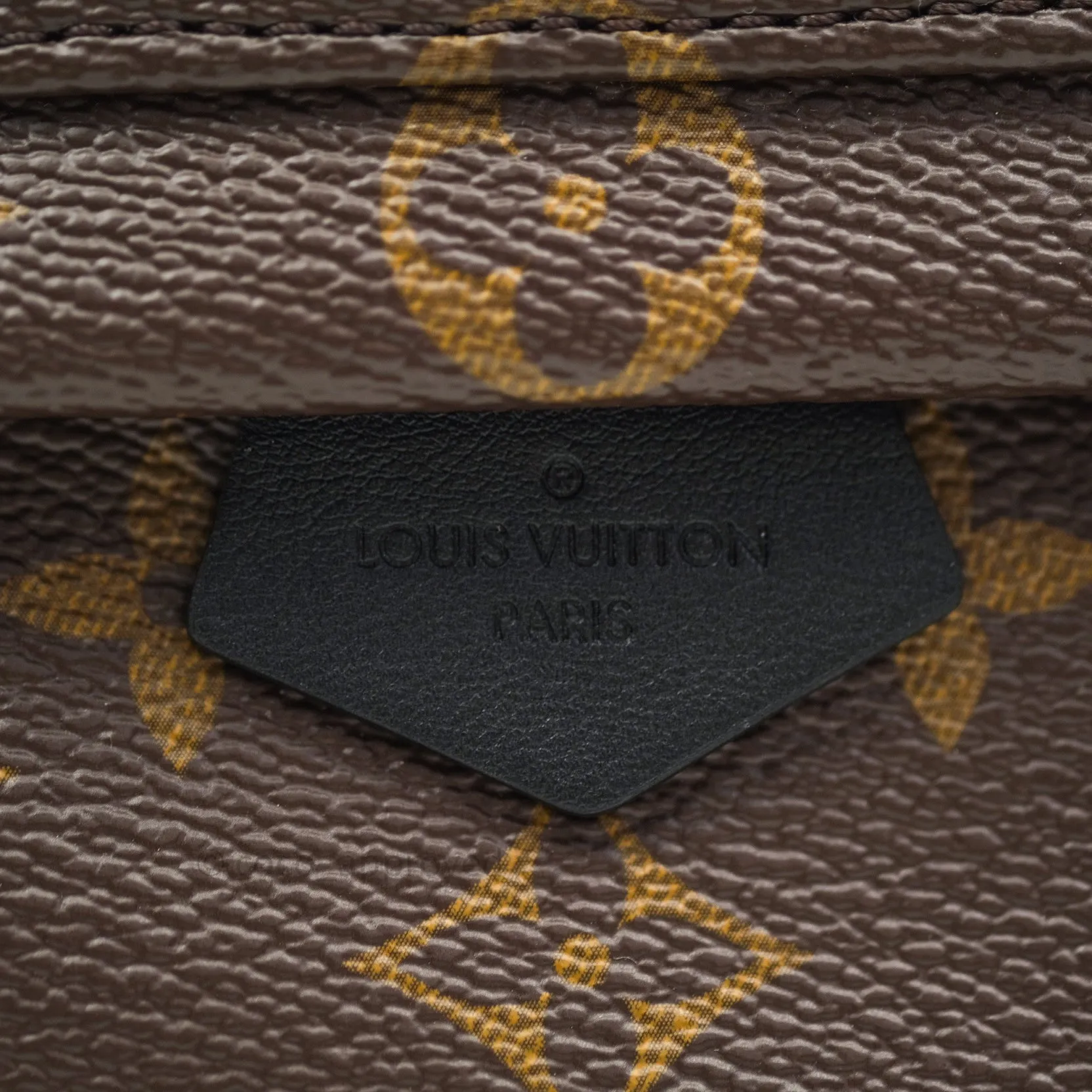 Louis Vuitton Monogram Mini Palm Springs Backpack