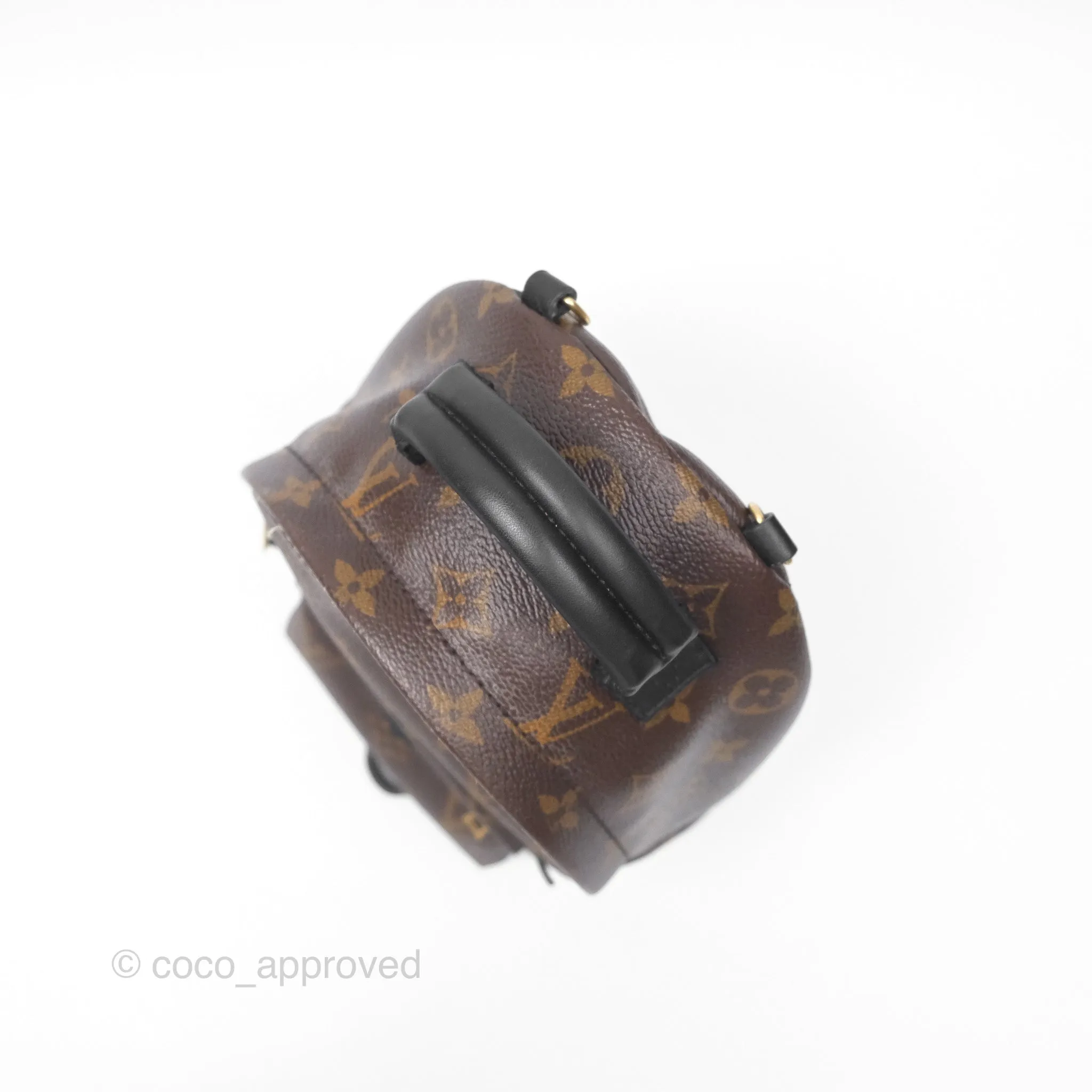Louis Vuitton Monogram Mini Palm Springs Backpack