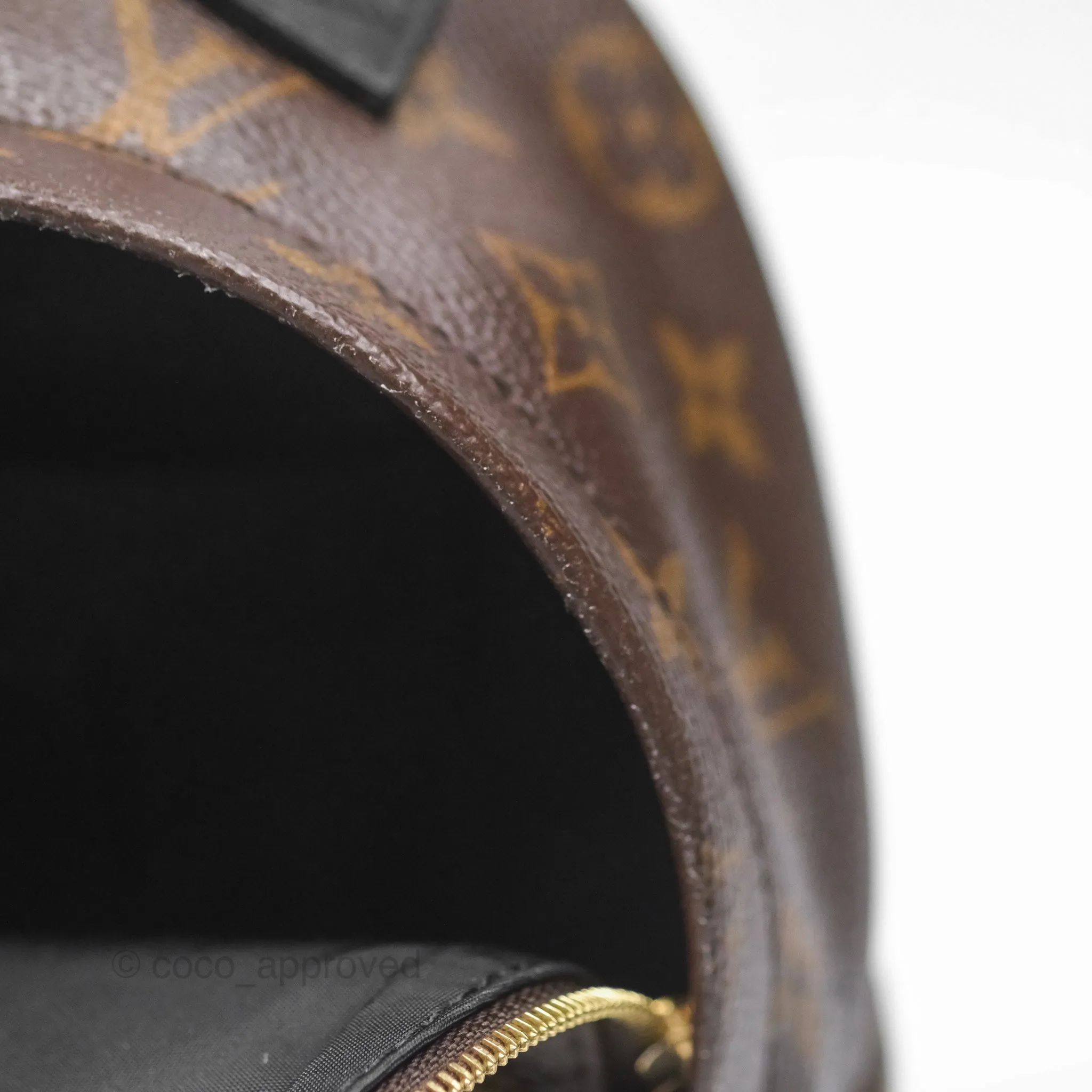 Louis Vuitton Monogram Mini Palm Springs Backpack