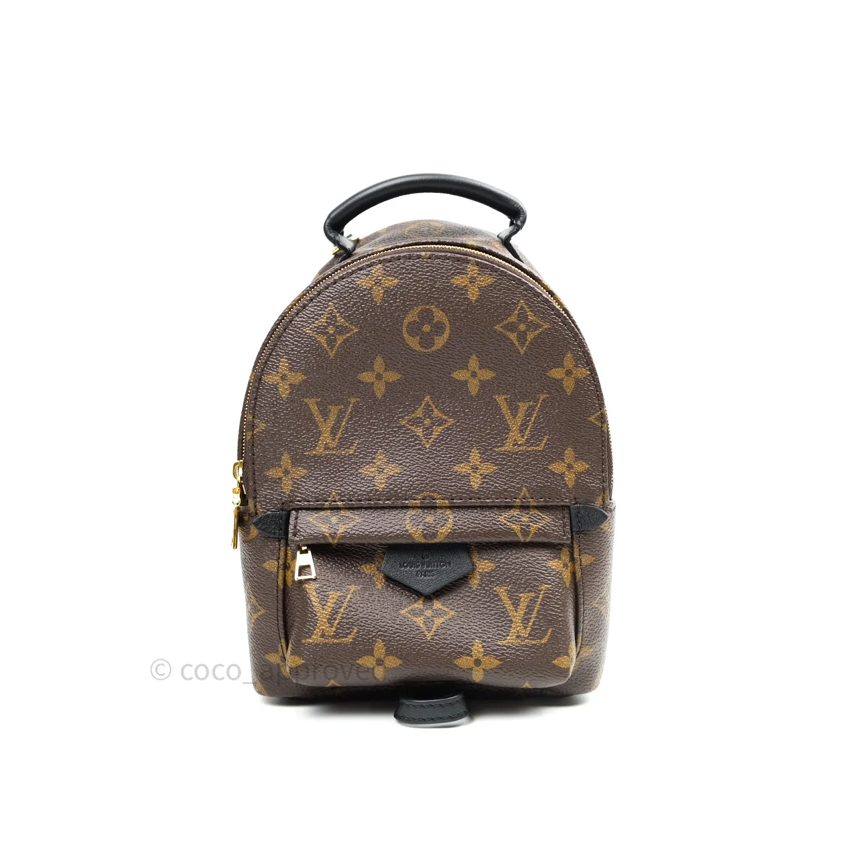 Louis Vuitton Monogram Mini Palm Springs Backpack