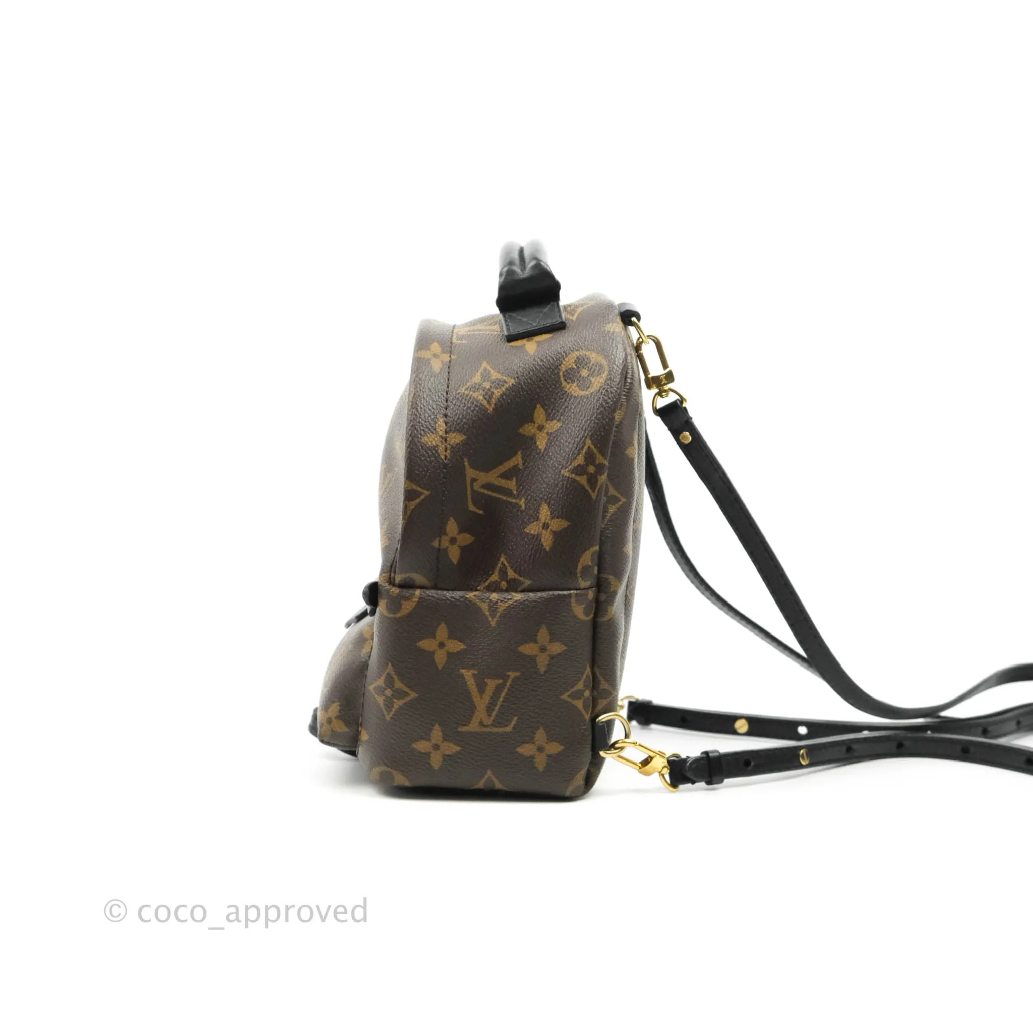 Louis Vuitton Monogram Mini Palm Springs Backpack