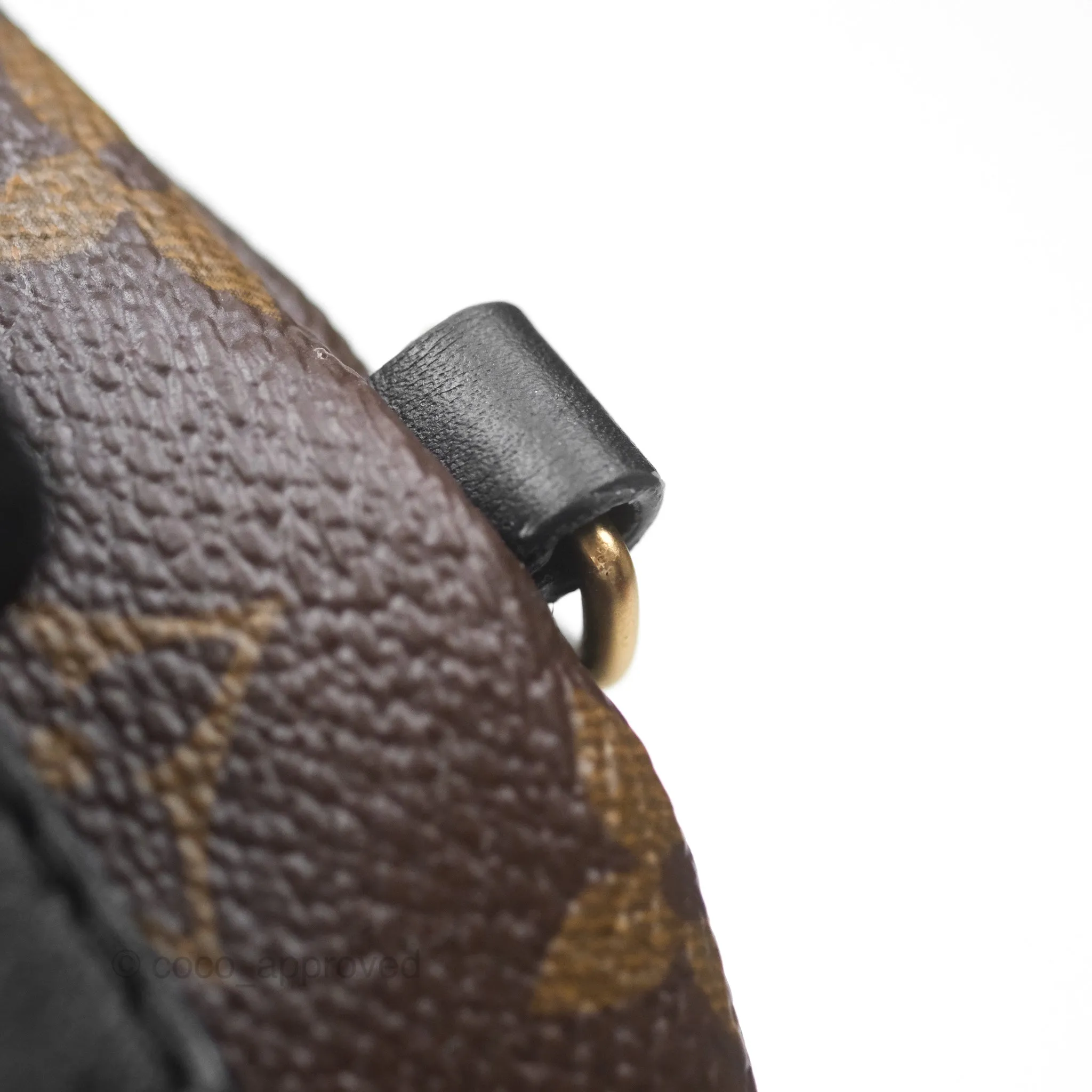Louis Vuitton Monogram Mini Palm Springs Backpack