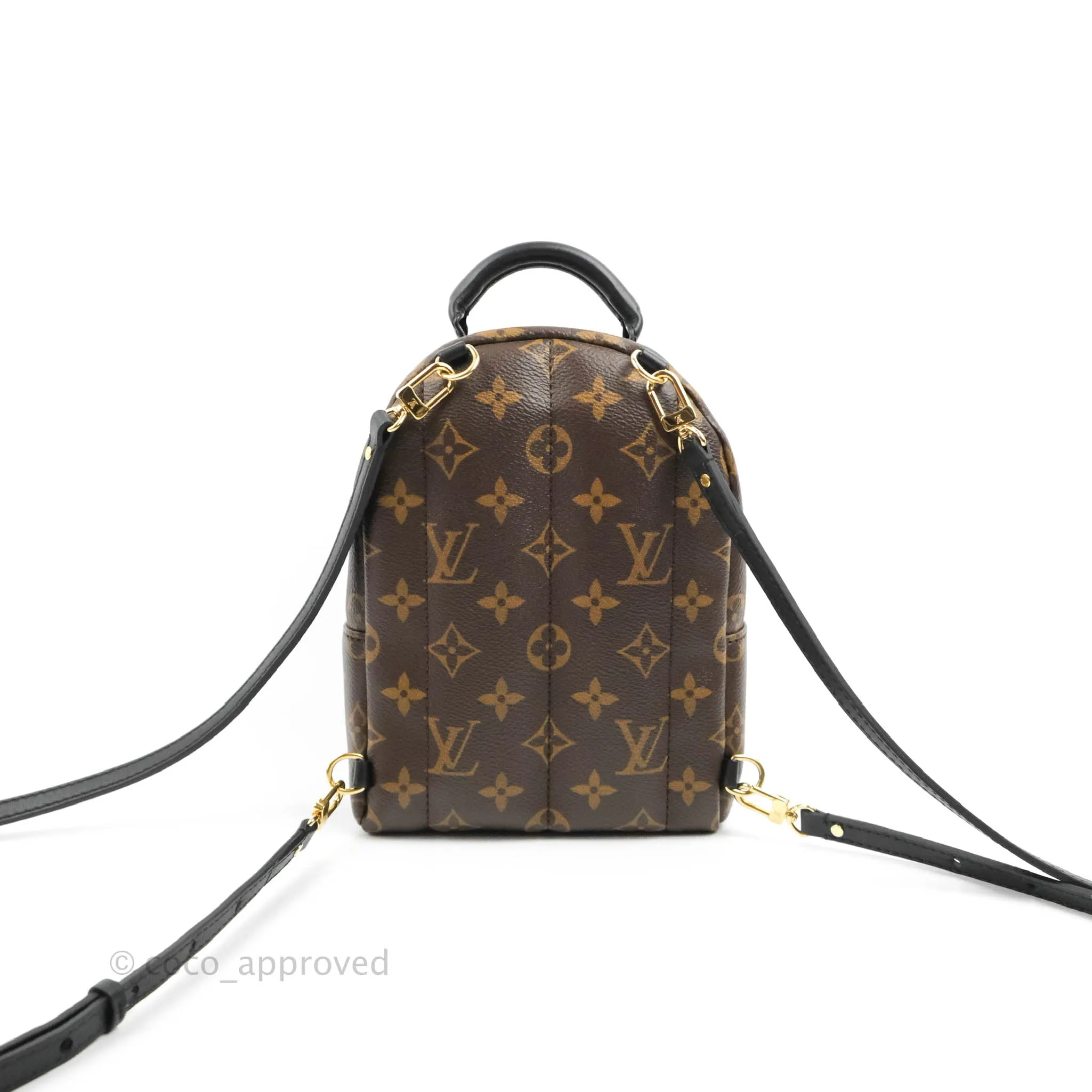Louis Vuitton Monogram Mini Palm Springs Backpack