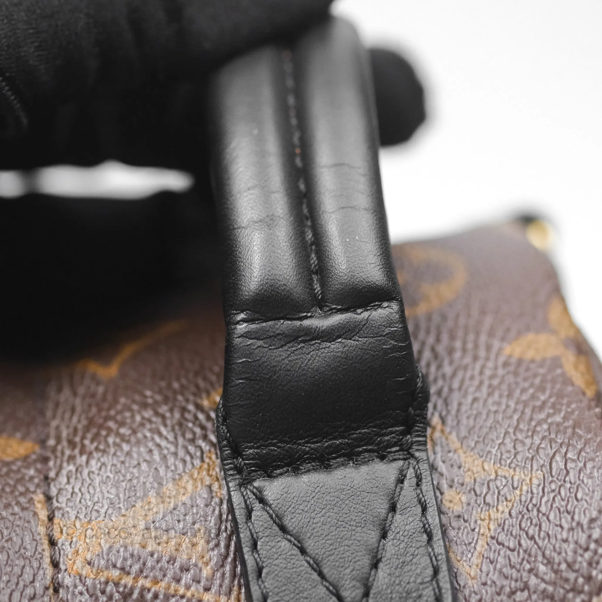 Louis Vuitton Monogram Mini Palm Springs Backpack