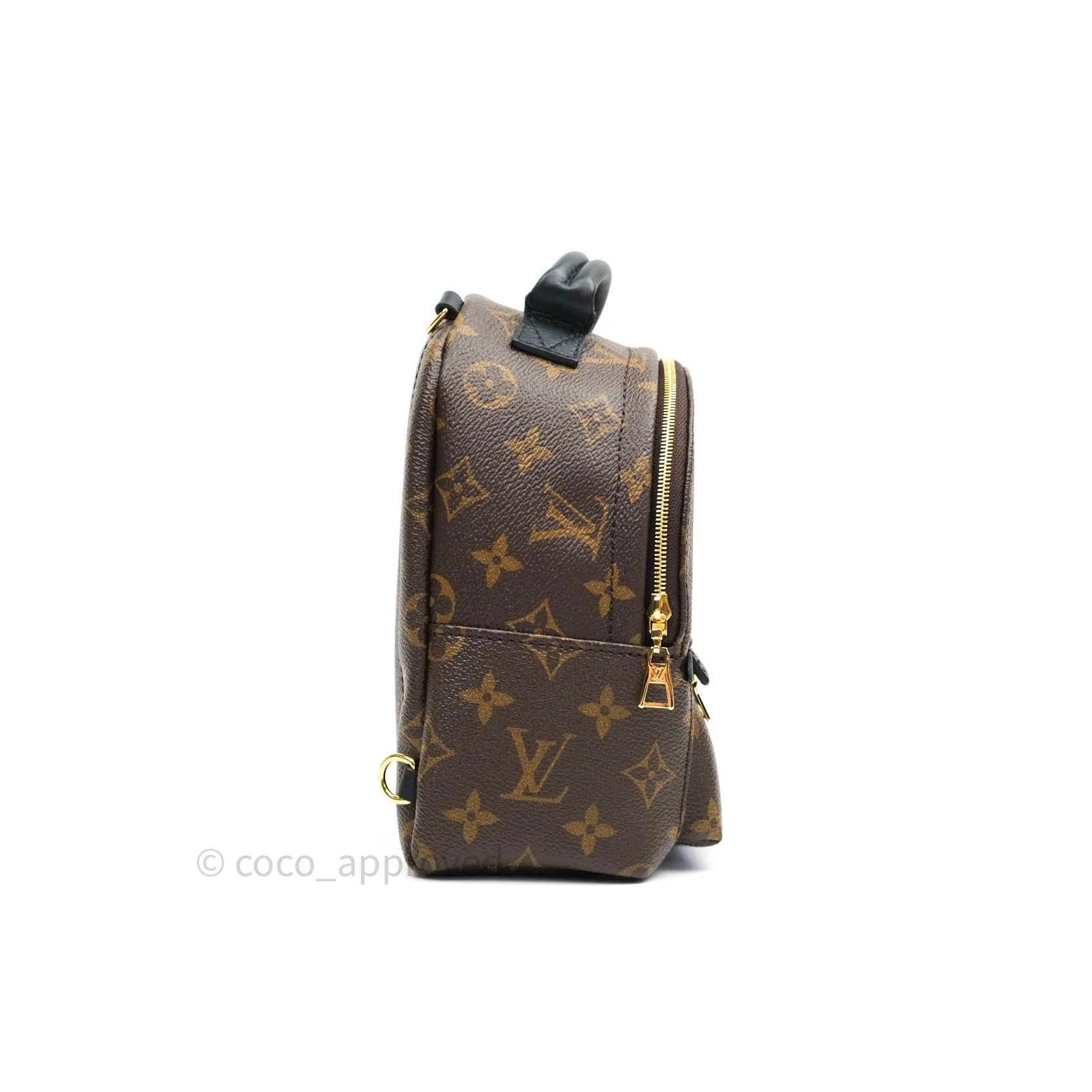 Louis Vuitton Monogram Mini Palm Springs Backpack