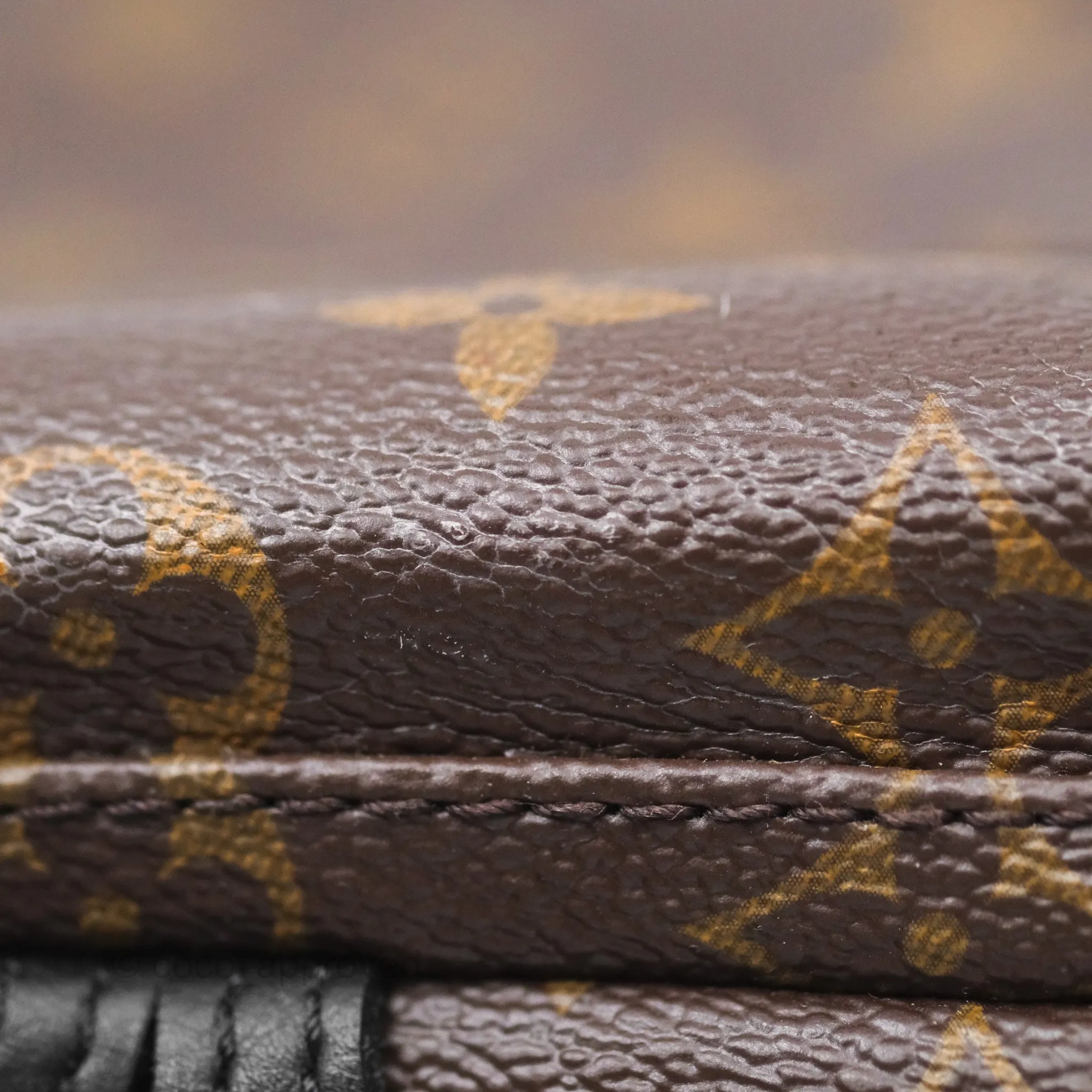 Louis Vuitton Monogram Mini Palm Springs Backpack