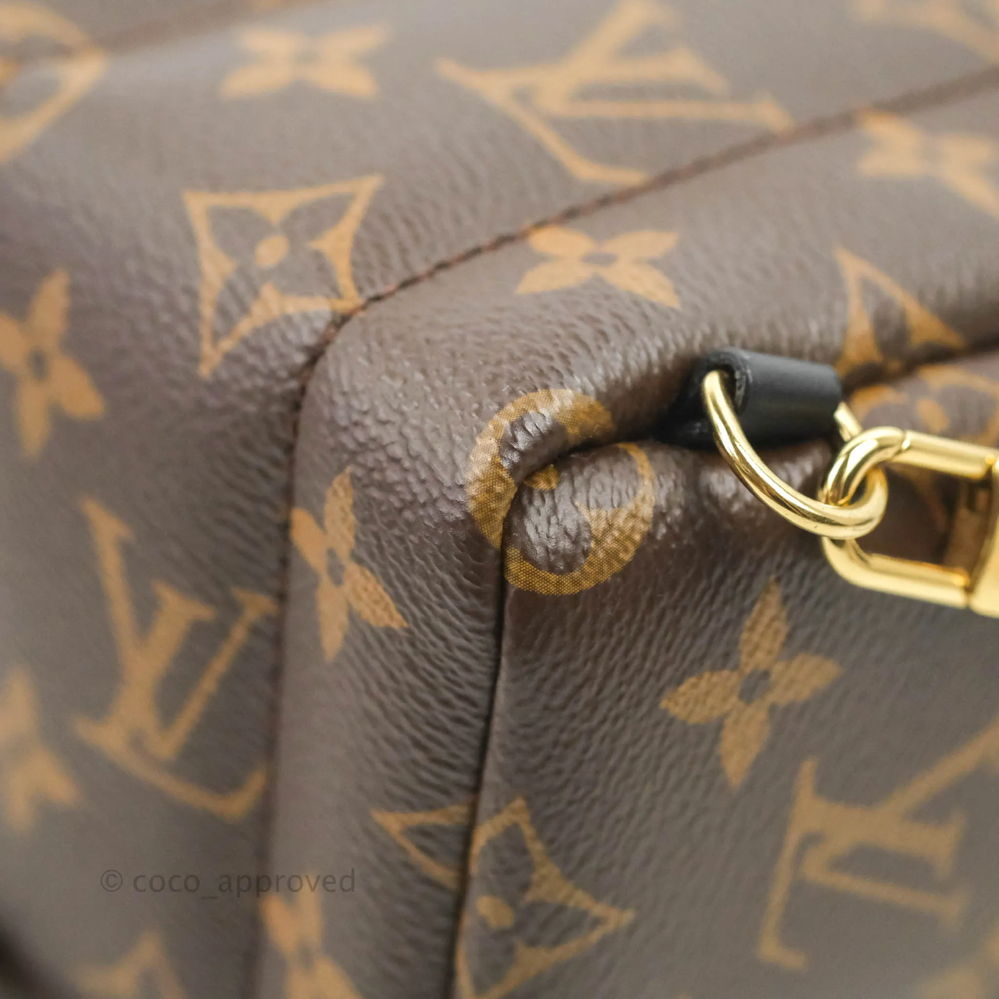 Louis Vuitton Monogram Mini Palm Springs Backpack