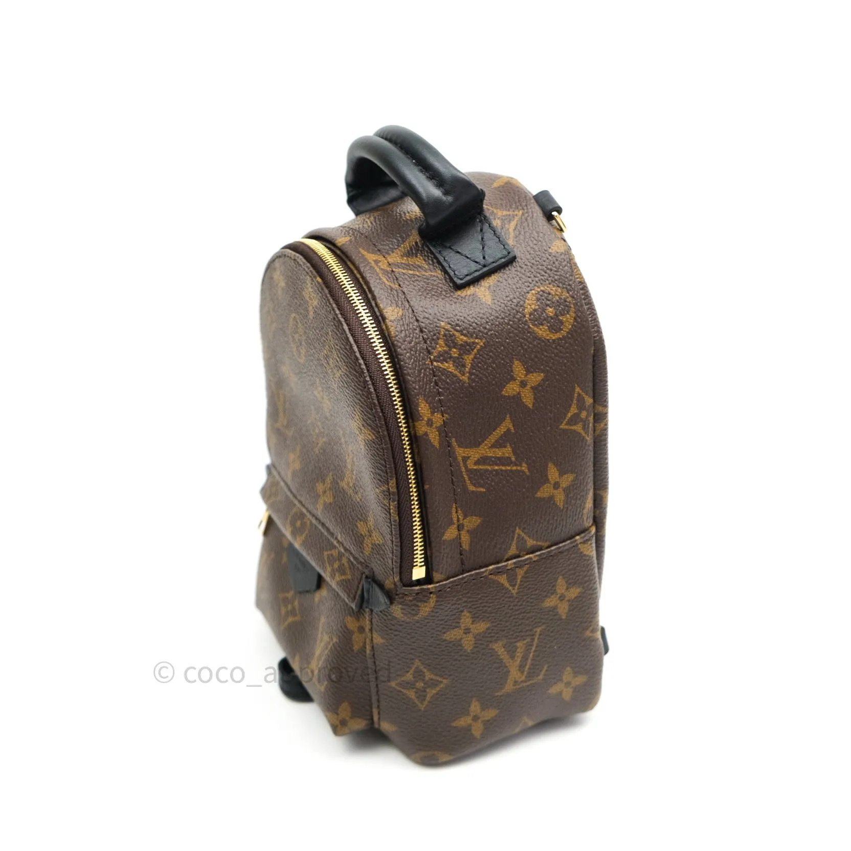 Louis Vuitton Monogram Mini Palm Springs Backpack