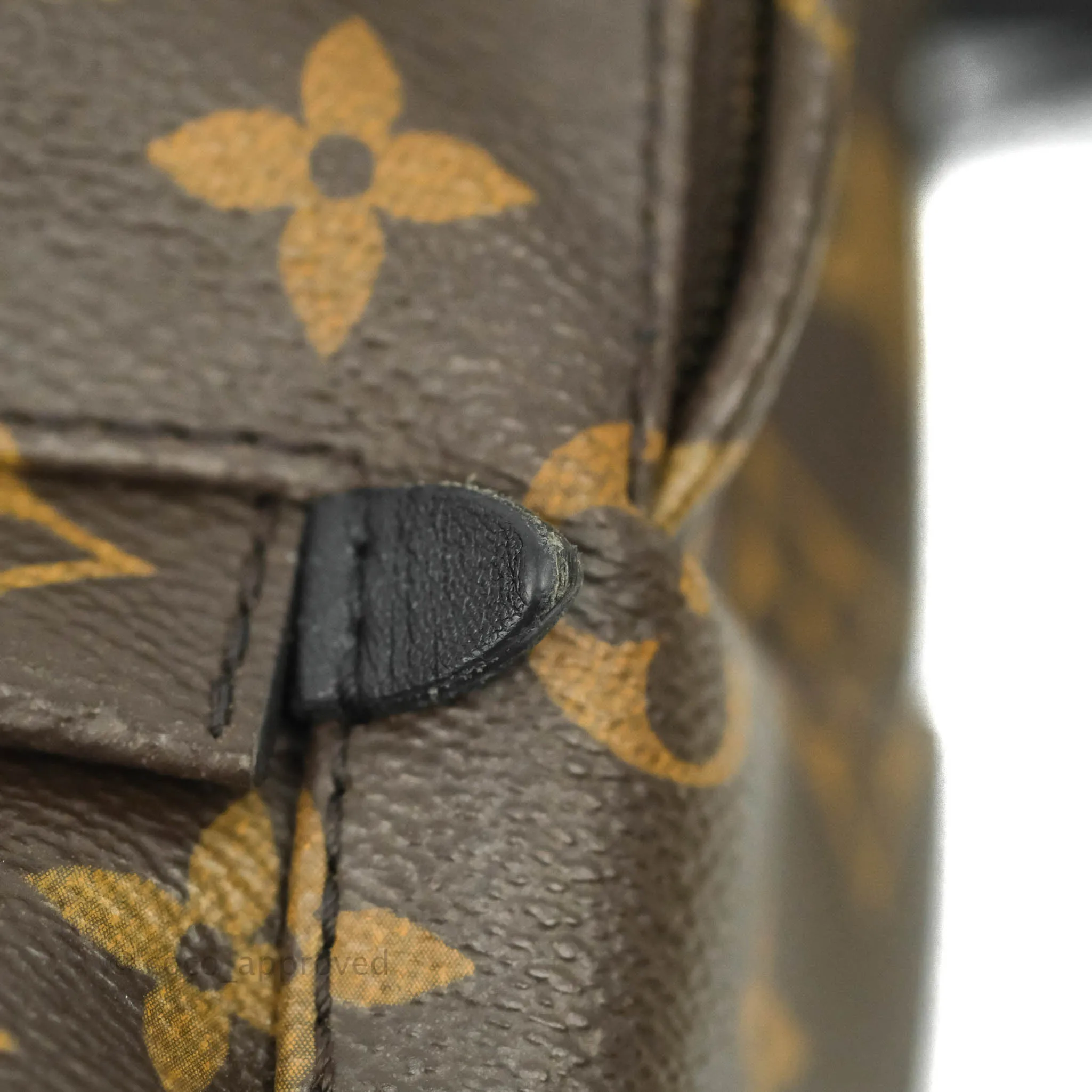 Louis Vuitton Monogram Mini Palm Springs Backpack