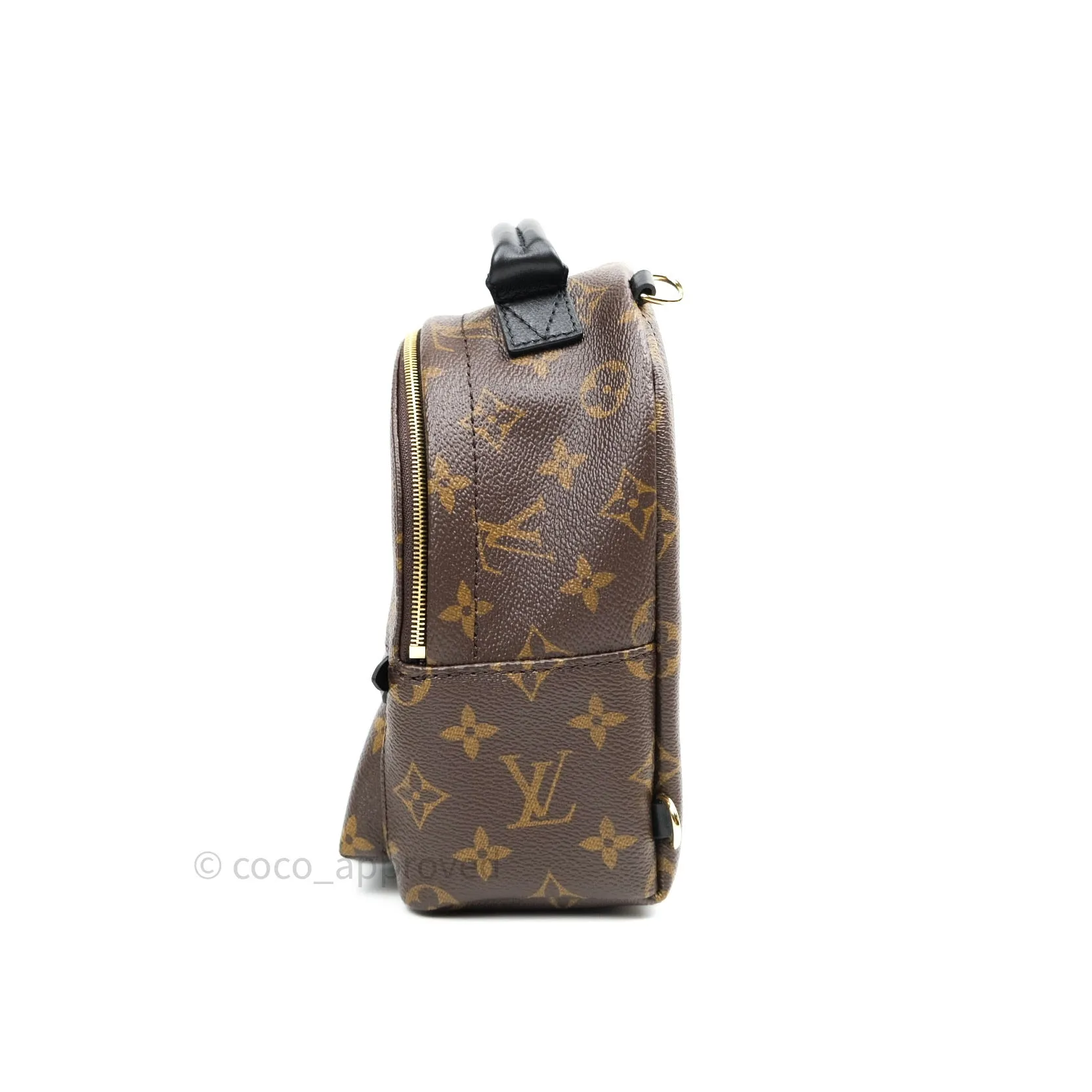 Louis Vuitton Monogram Mini Palm Springs Backpack