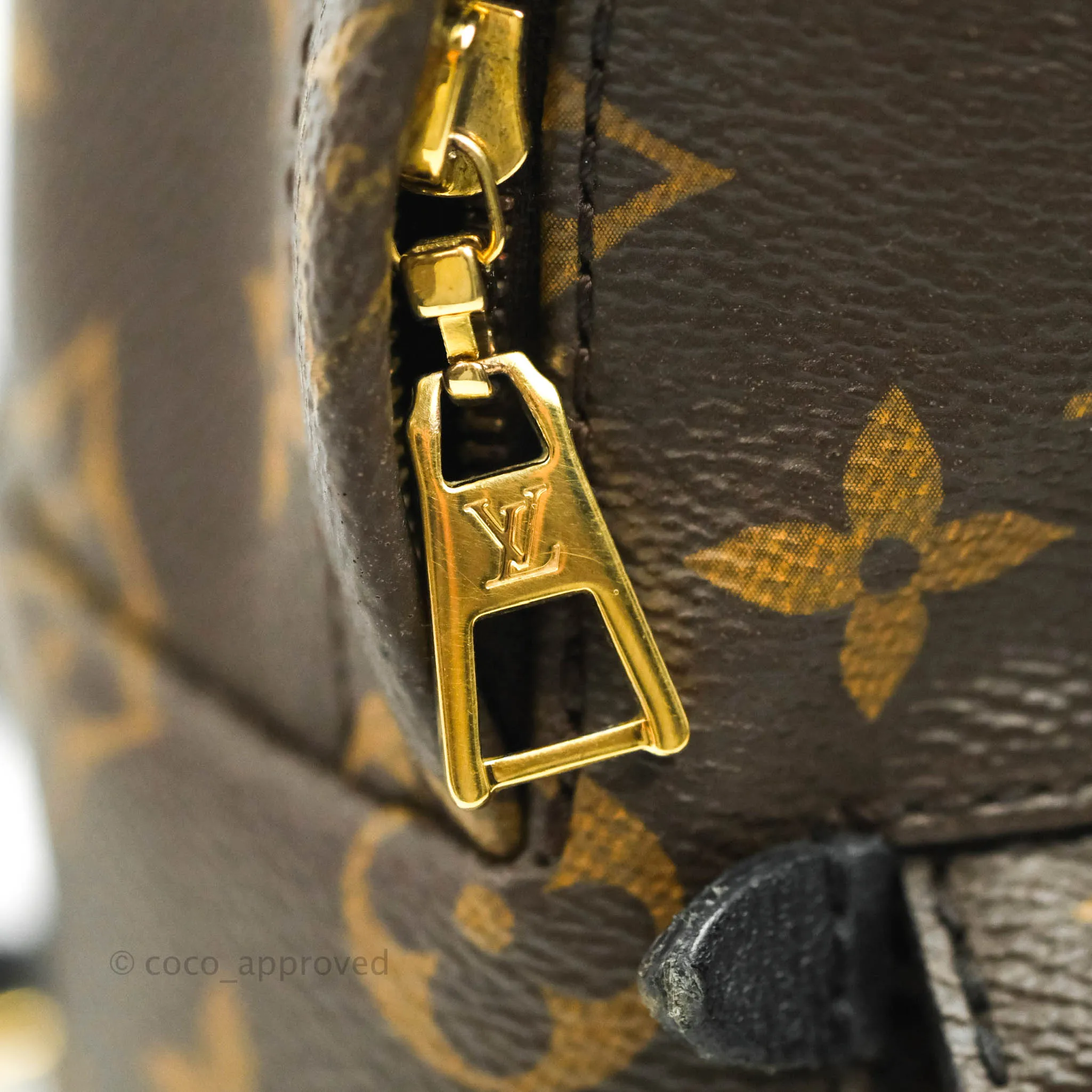 Louis Vuitton Monogram Mini Palm Springs Backpack