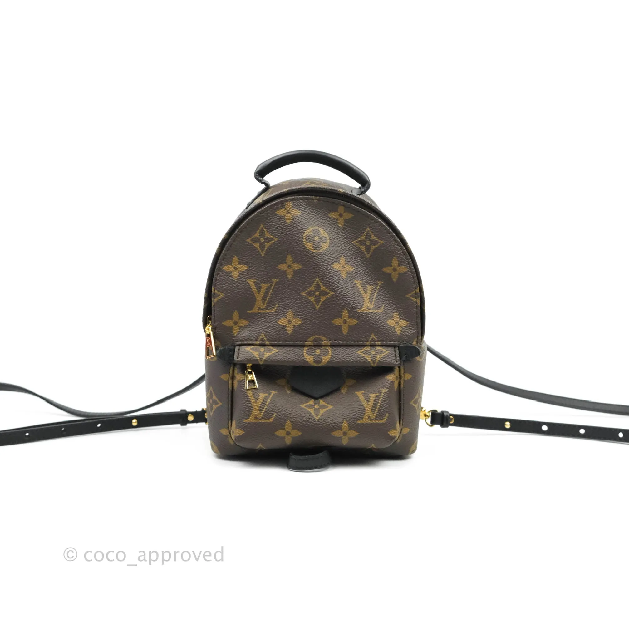 Louis Vuitton Monogram Mini Palm Springs Backpack