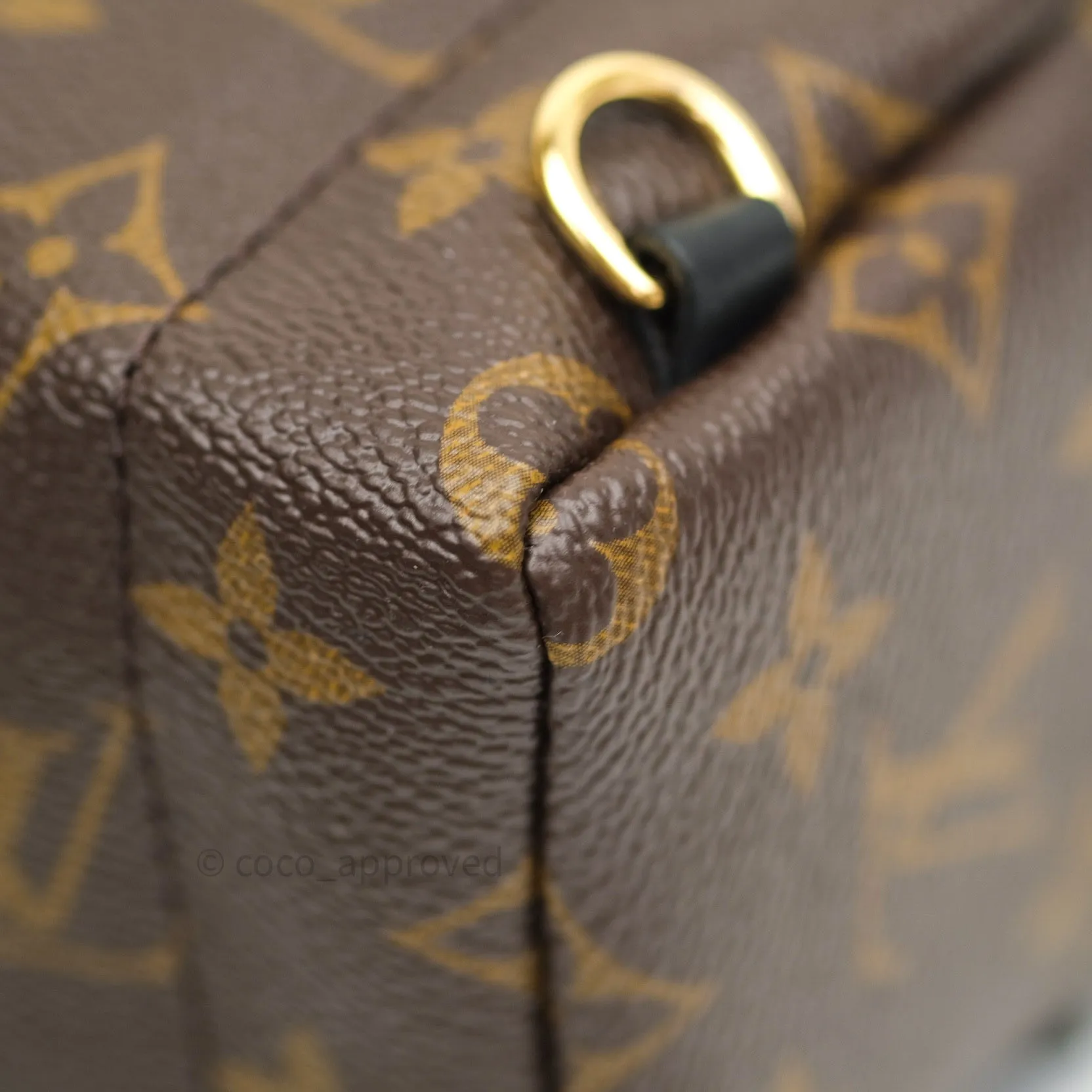 Louis Vuitton Monogram Mini Palm Springs Backpack