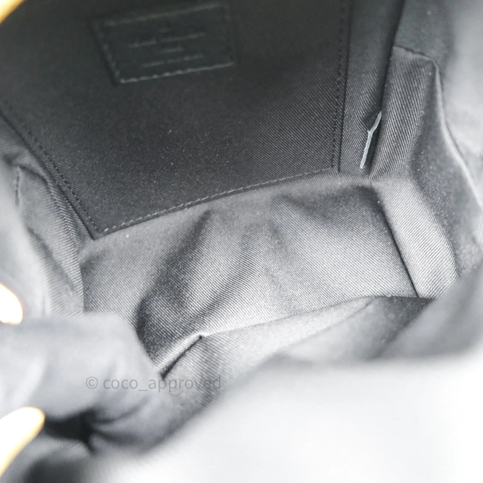 Louis Vuitton Monogram Mini Palm Springs Backpack