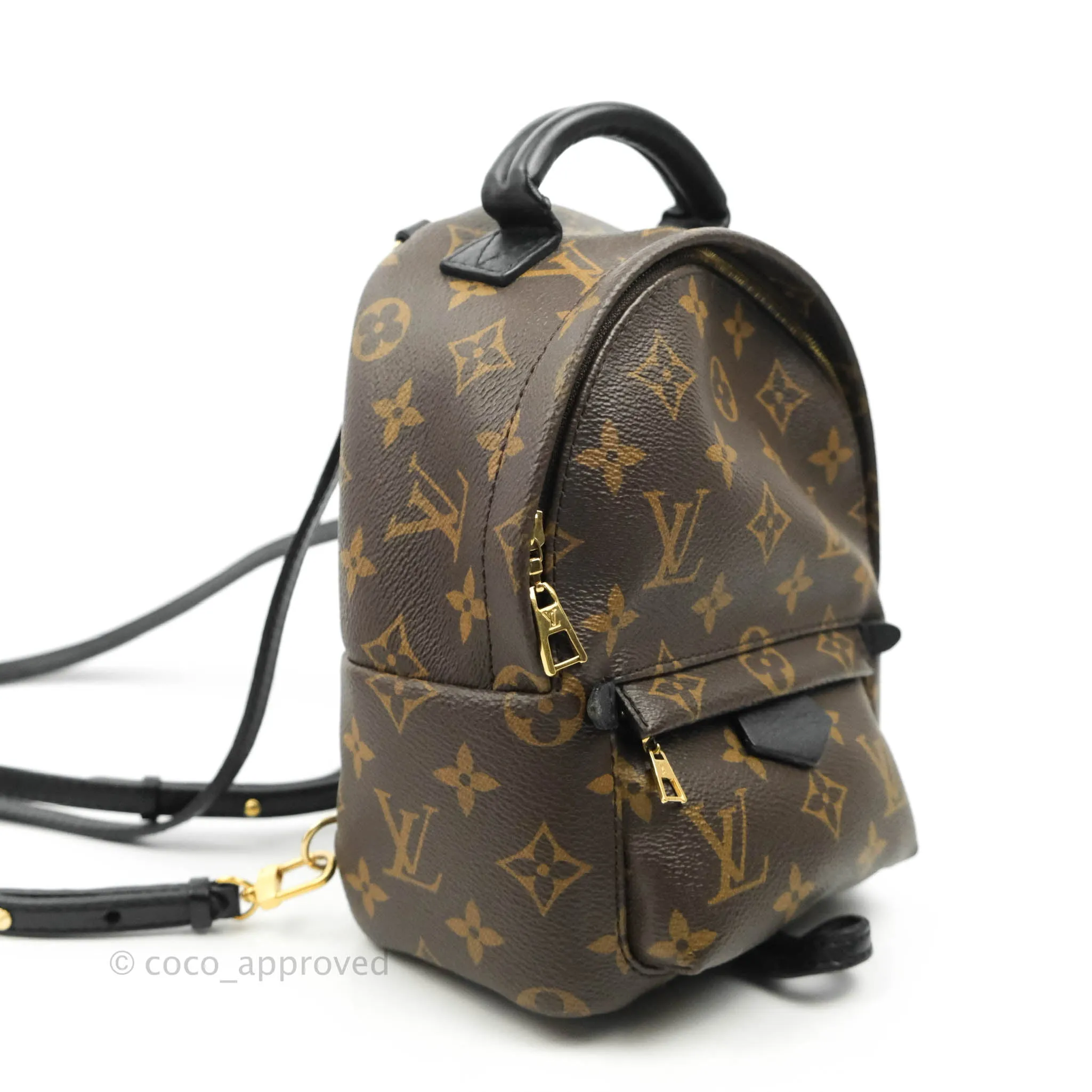 Louis Vuitton Monogram Mini Palm Springs Backpack