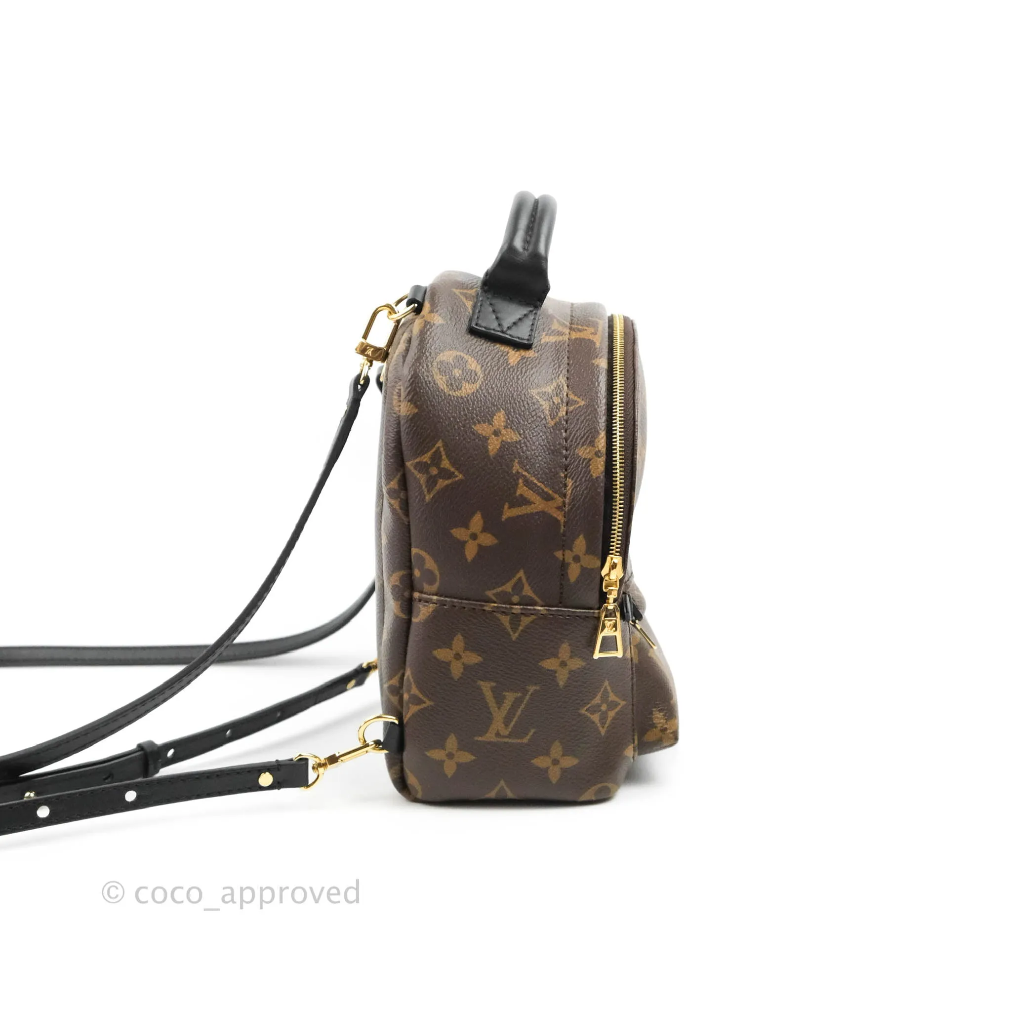 Louis Vuitton Monogram Mini Palm Springs Backpack