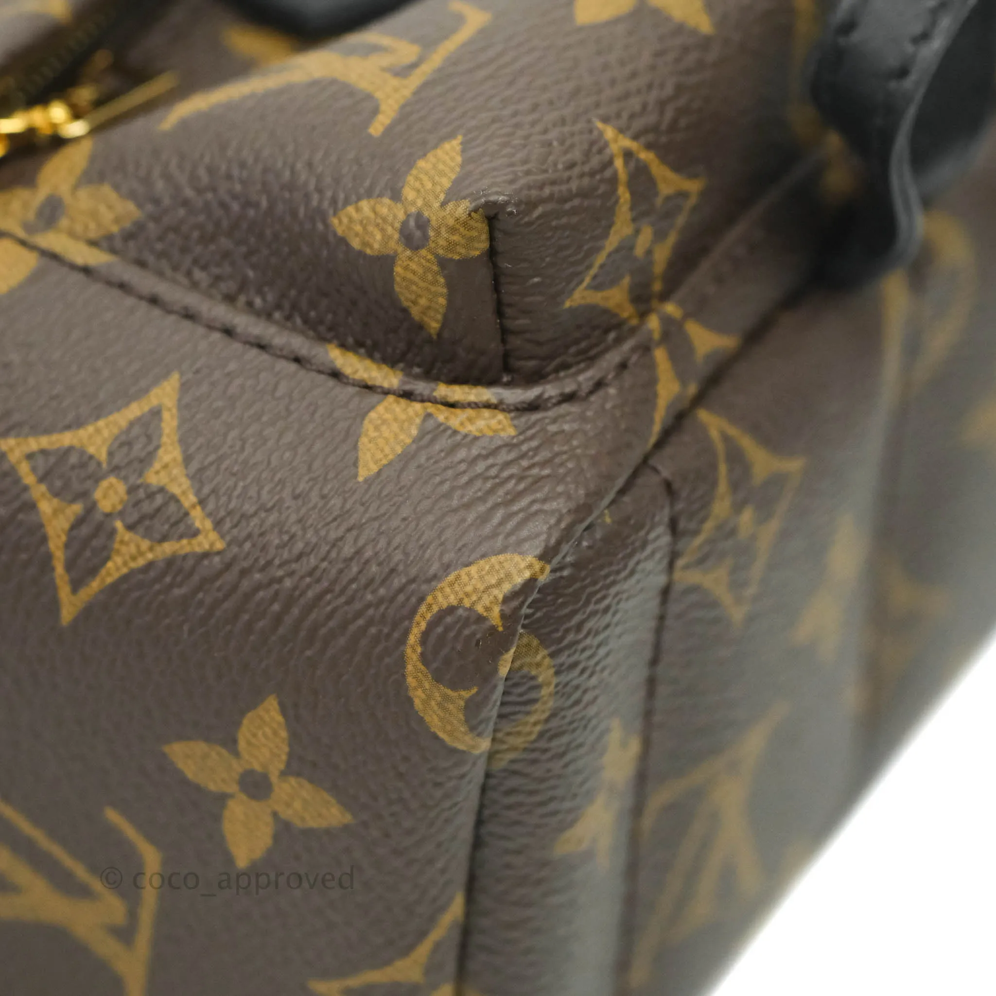 Louis Vuitton Monogram Mini Palm Springs Backpack