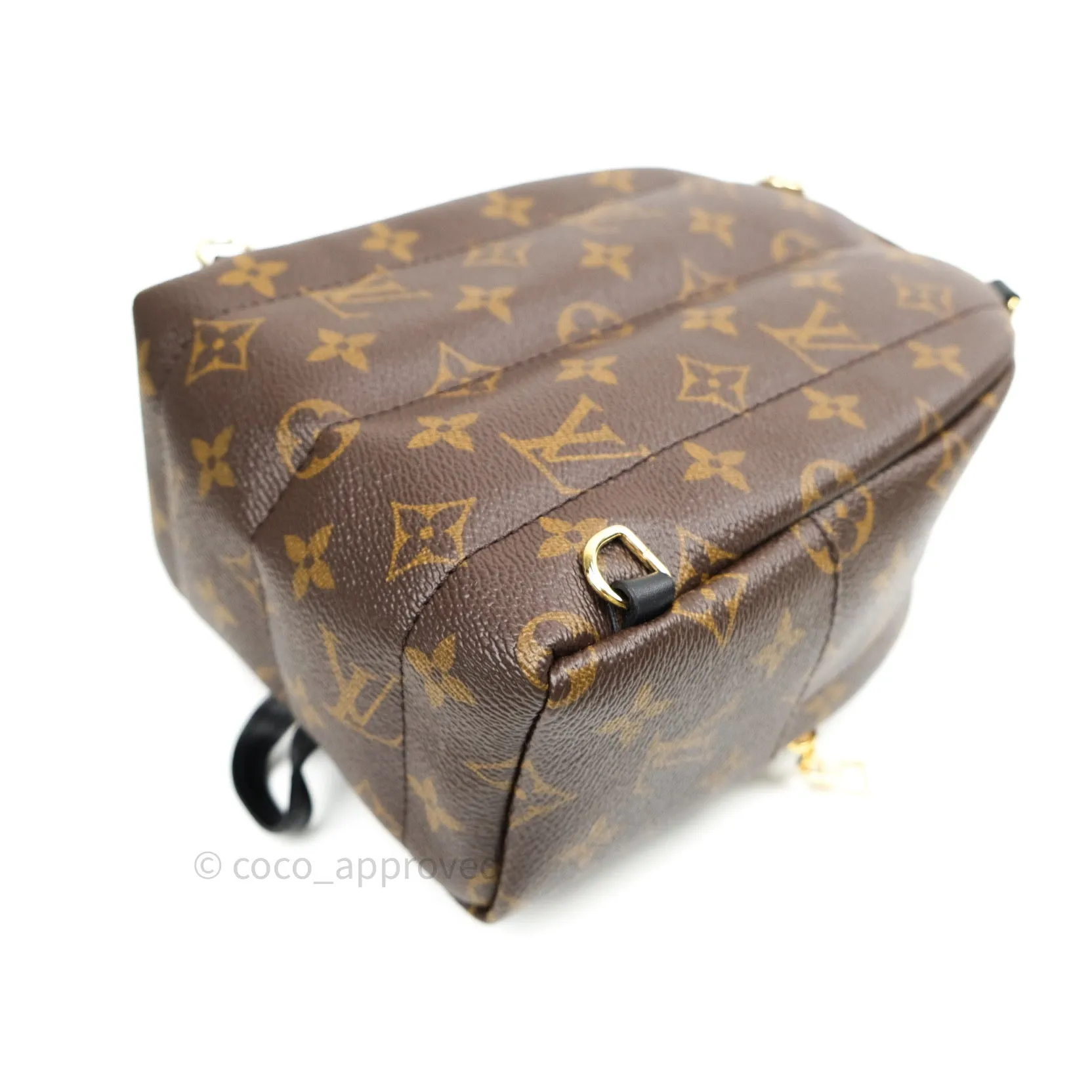 Louis Vuitton Monogram Mini Palm Springs Backpack
