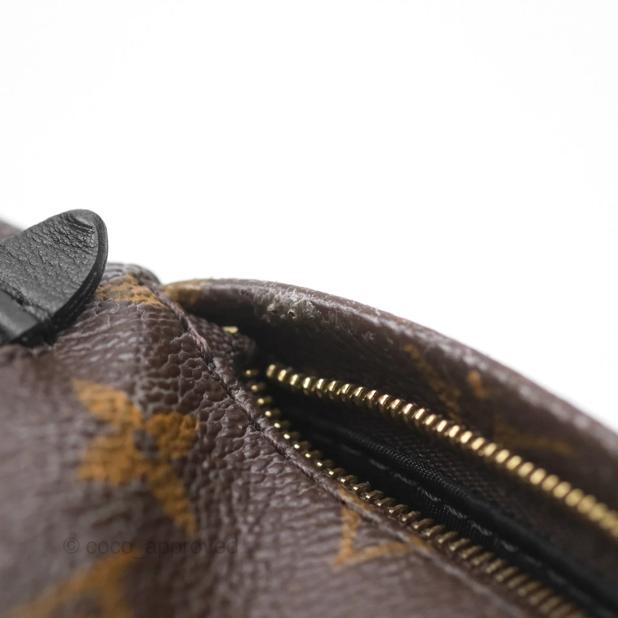 Louis Vuitton Monogram Mini Palm Springs Backpack