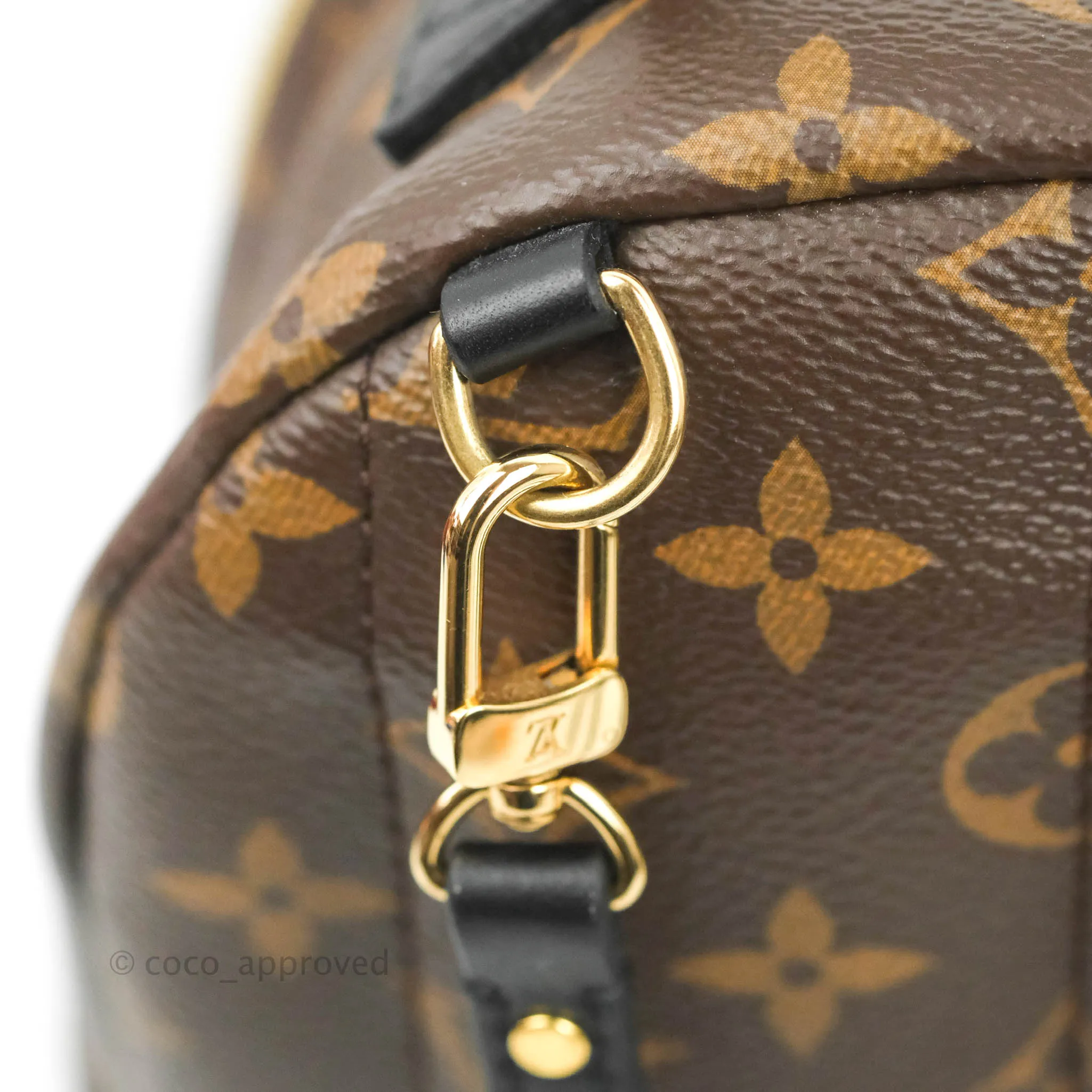Louis Vuitton Monogram Mini Palm Springs Backpack