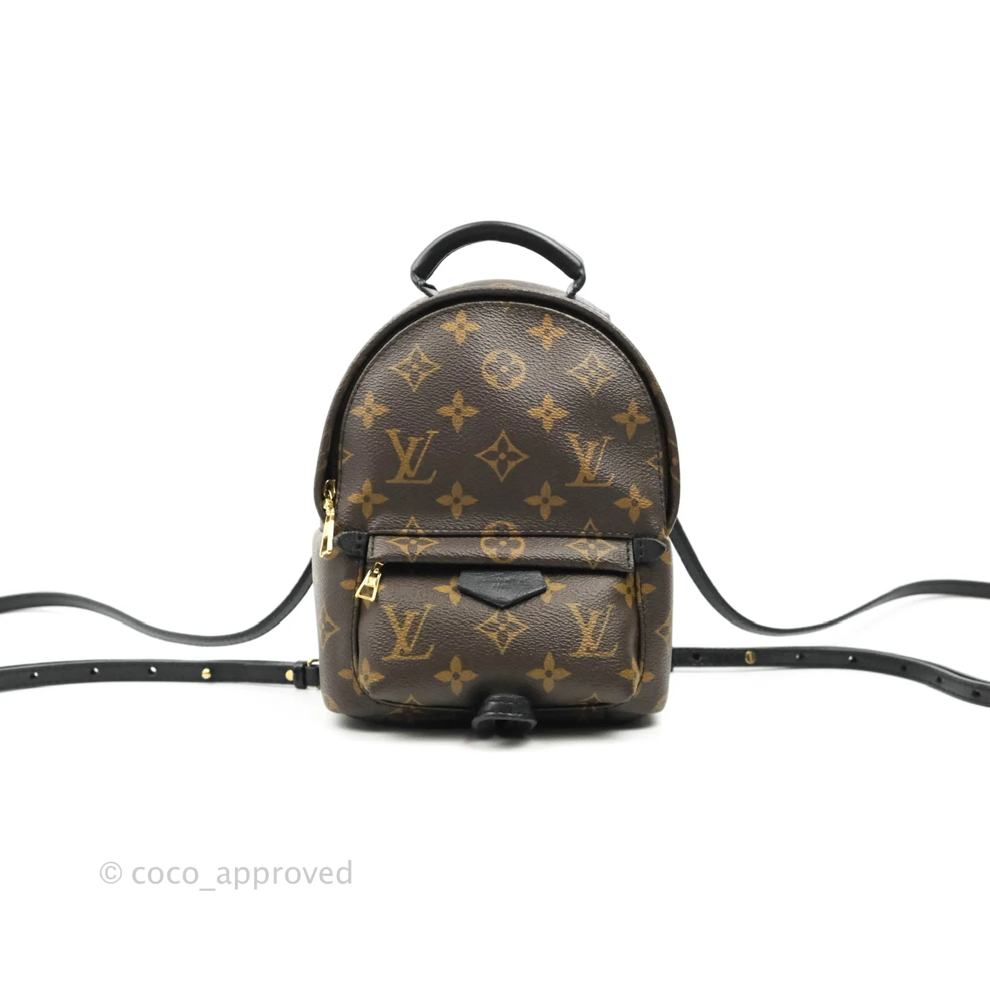 Louis Vuitton Monogram Mini Palm Springs Backpack