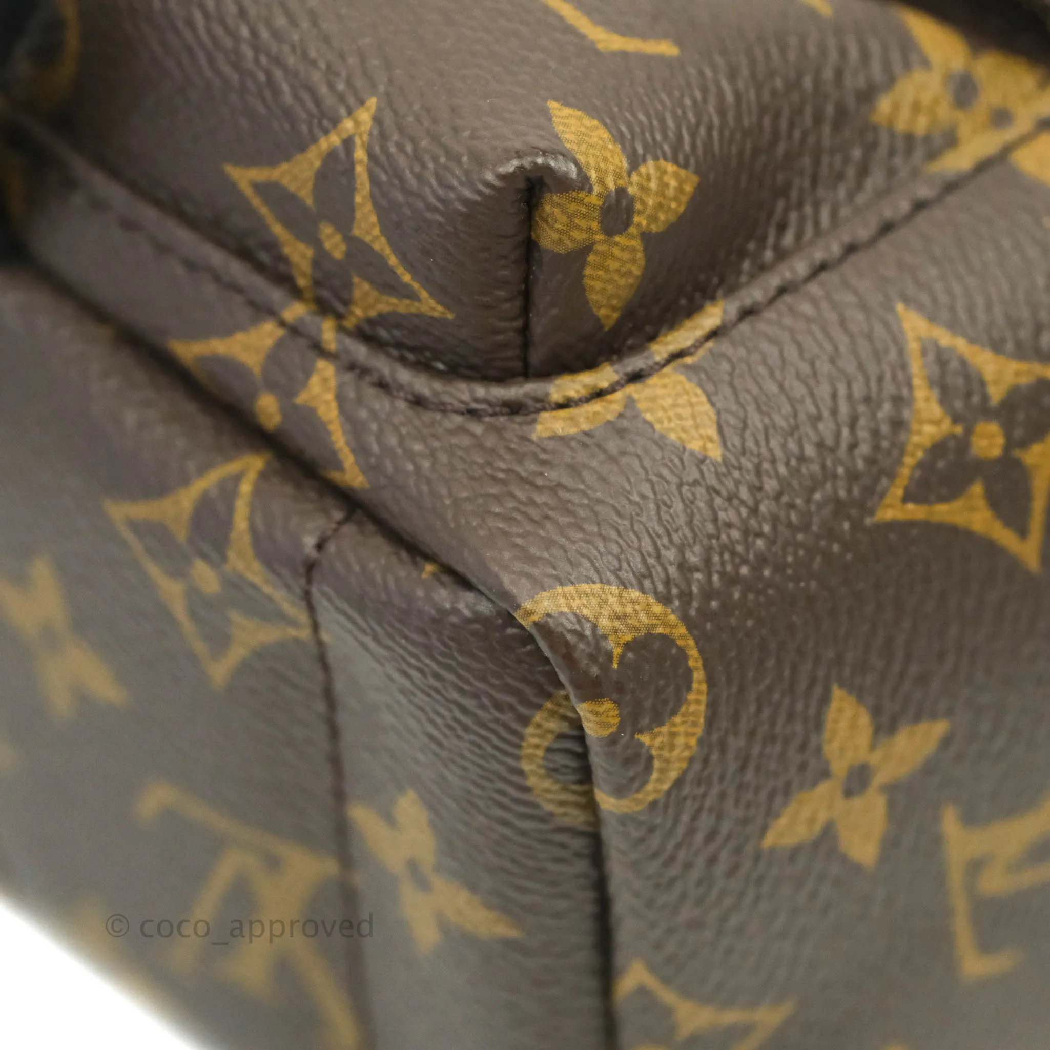Louis Vuitton Monogram Mini Palm Springs Backpack